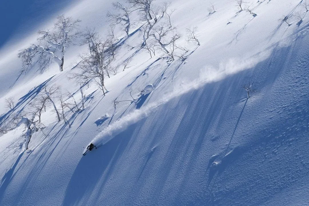 2021-22 Winner, 2nd Prize Ski