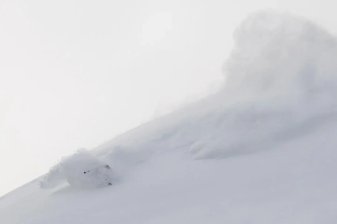 2021-22 Winner, 3rd Prize Ski