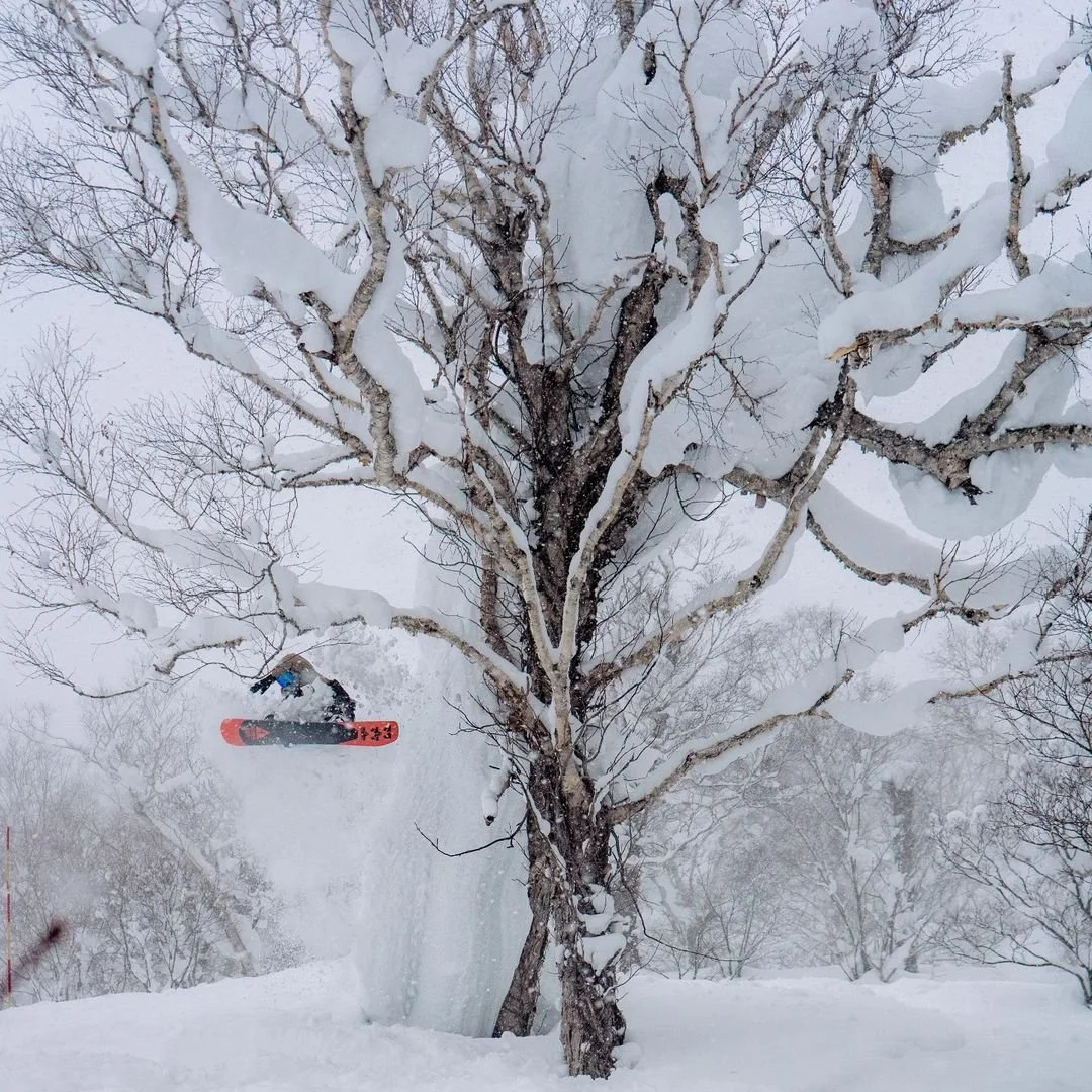 2021-22 Winner, 3rd Prize Snowboard