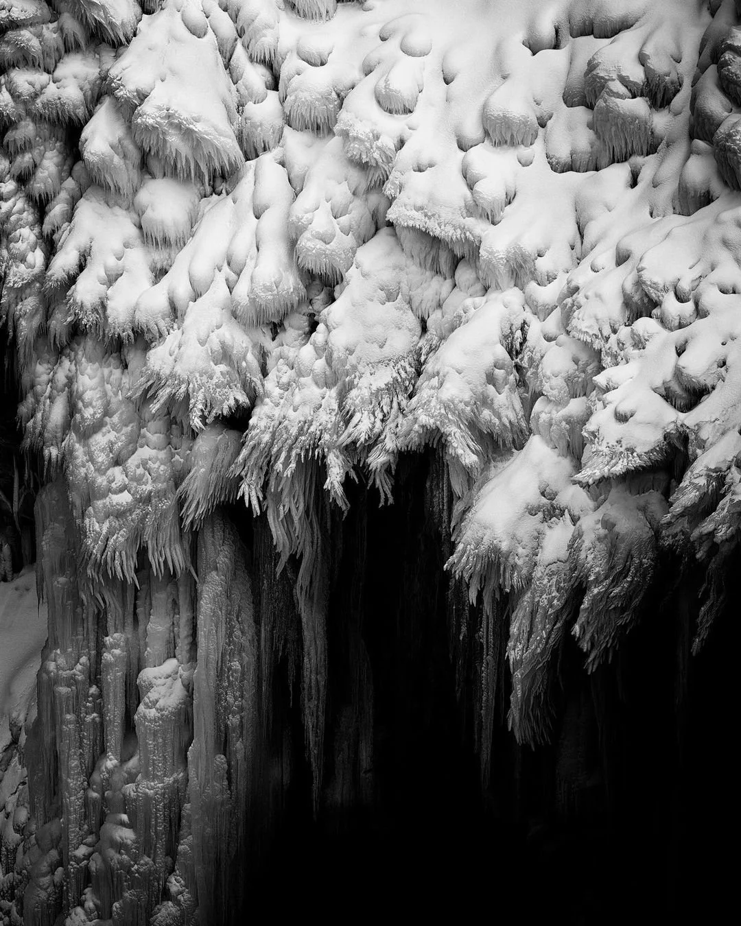 2021-22 Winner, 1st Prize Open