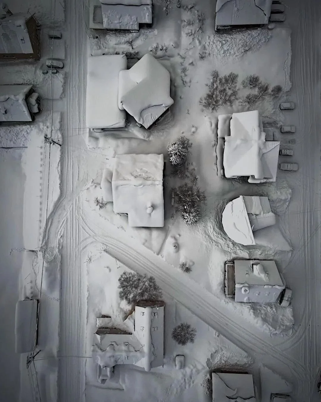 2021-22 Winner, 2nd Prize Open