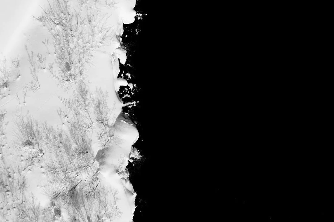 2021-22 Winner, 3rd Prize Open