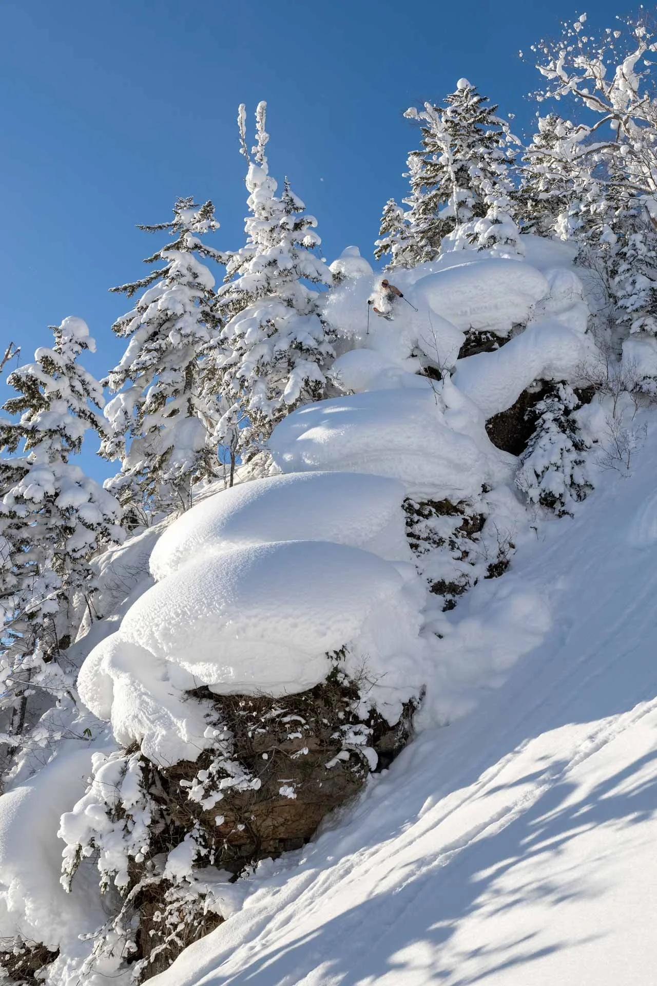 The Pursuit of Perfect Pillows