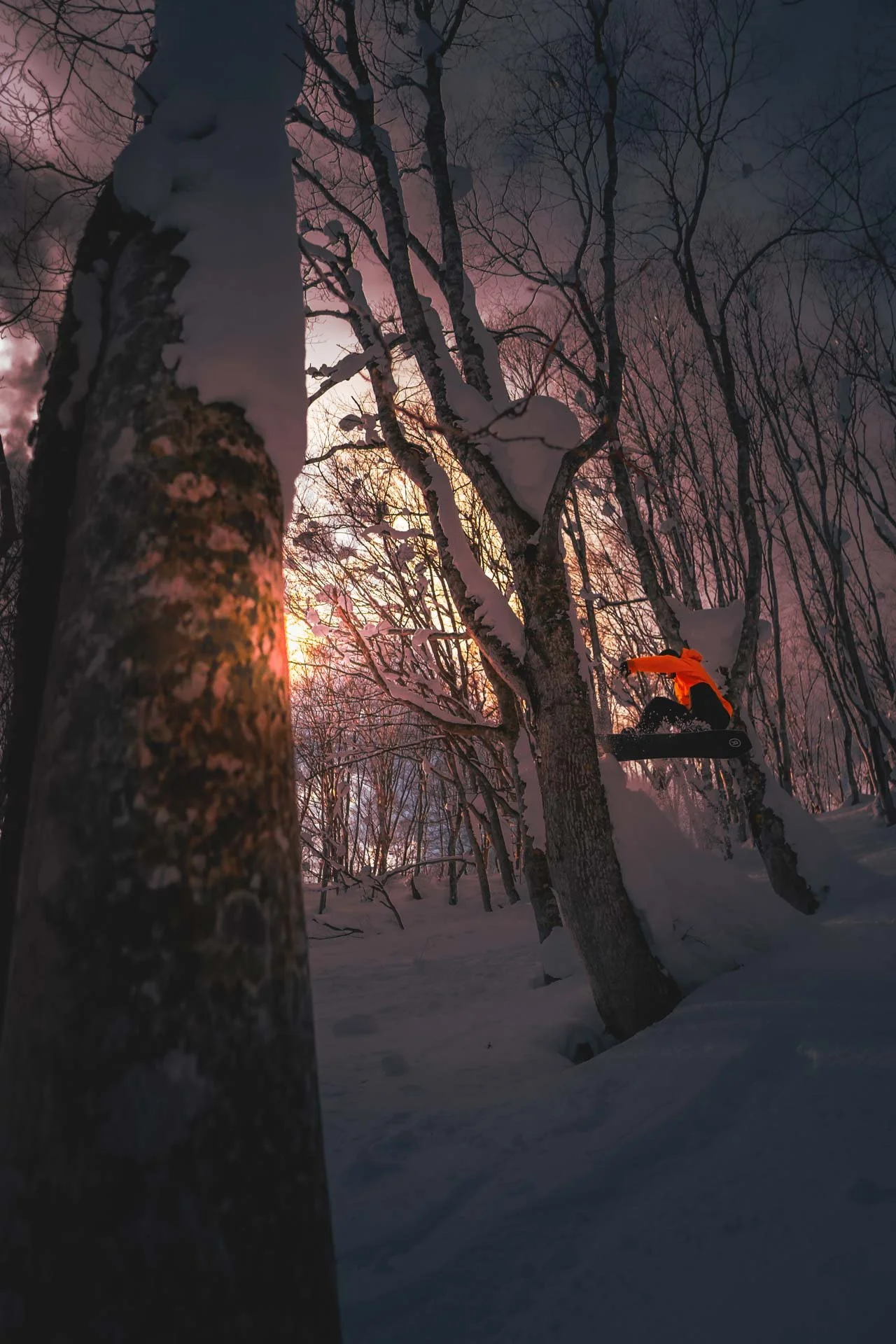 alexander rouleau alexis gervais.jpeg