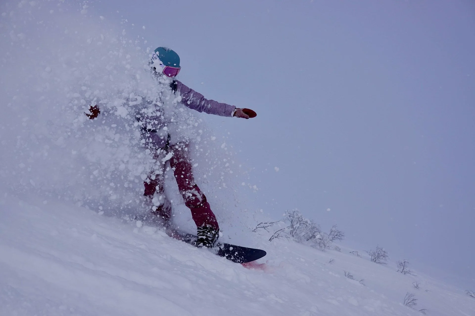  Gregory Homann, Juliette Frattini 