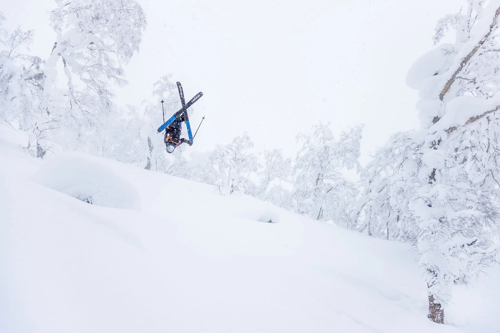 Hedvig Wessel, Darren Teasdale 