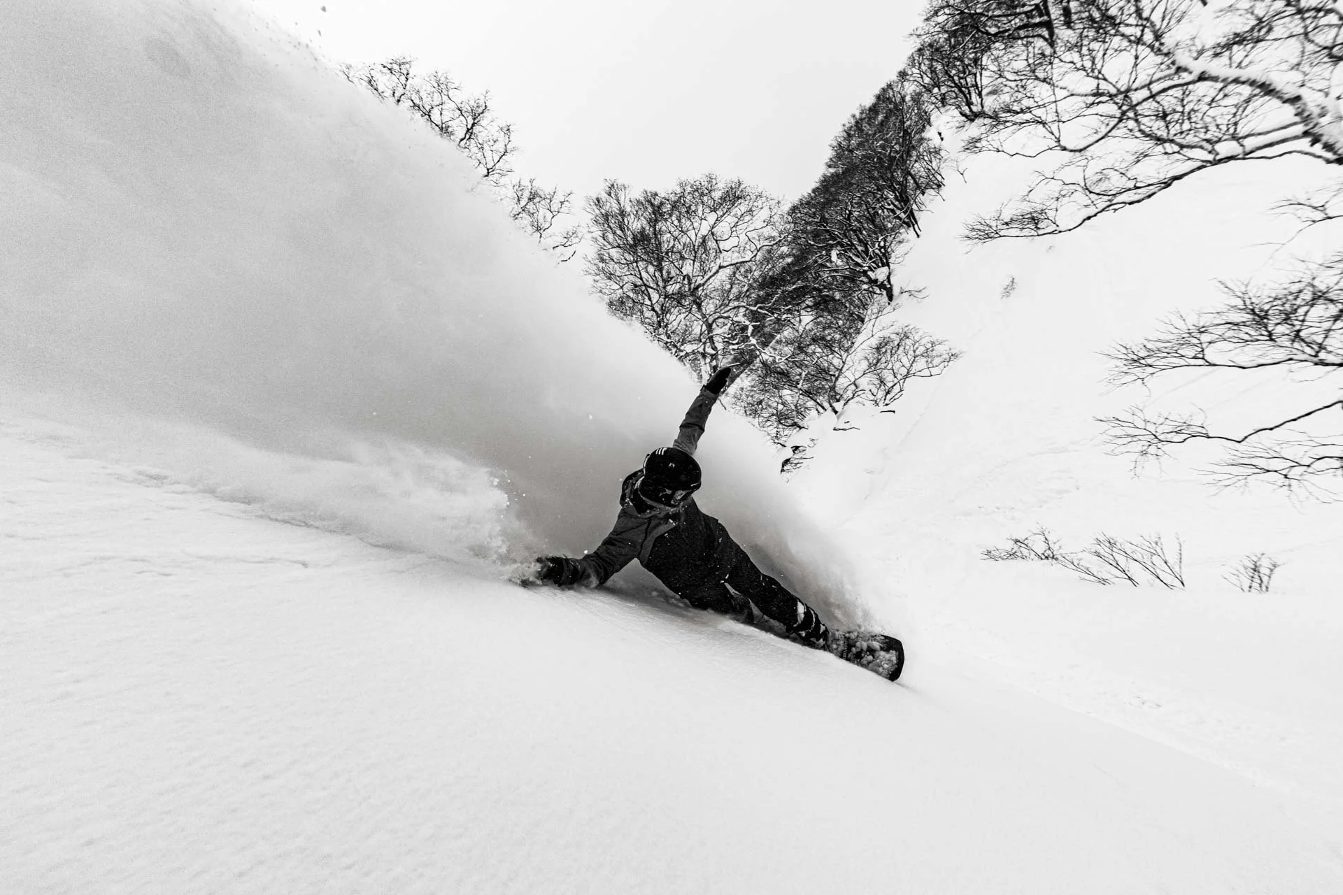  Jack O'Grady, Max King. 