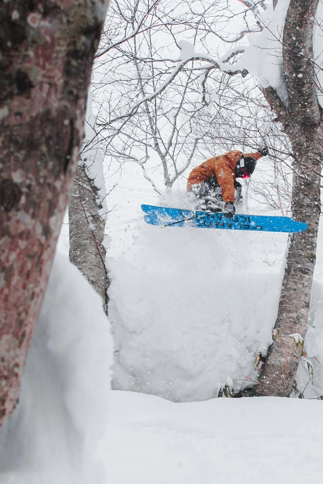 Local Highschool Student