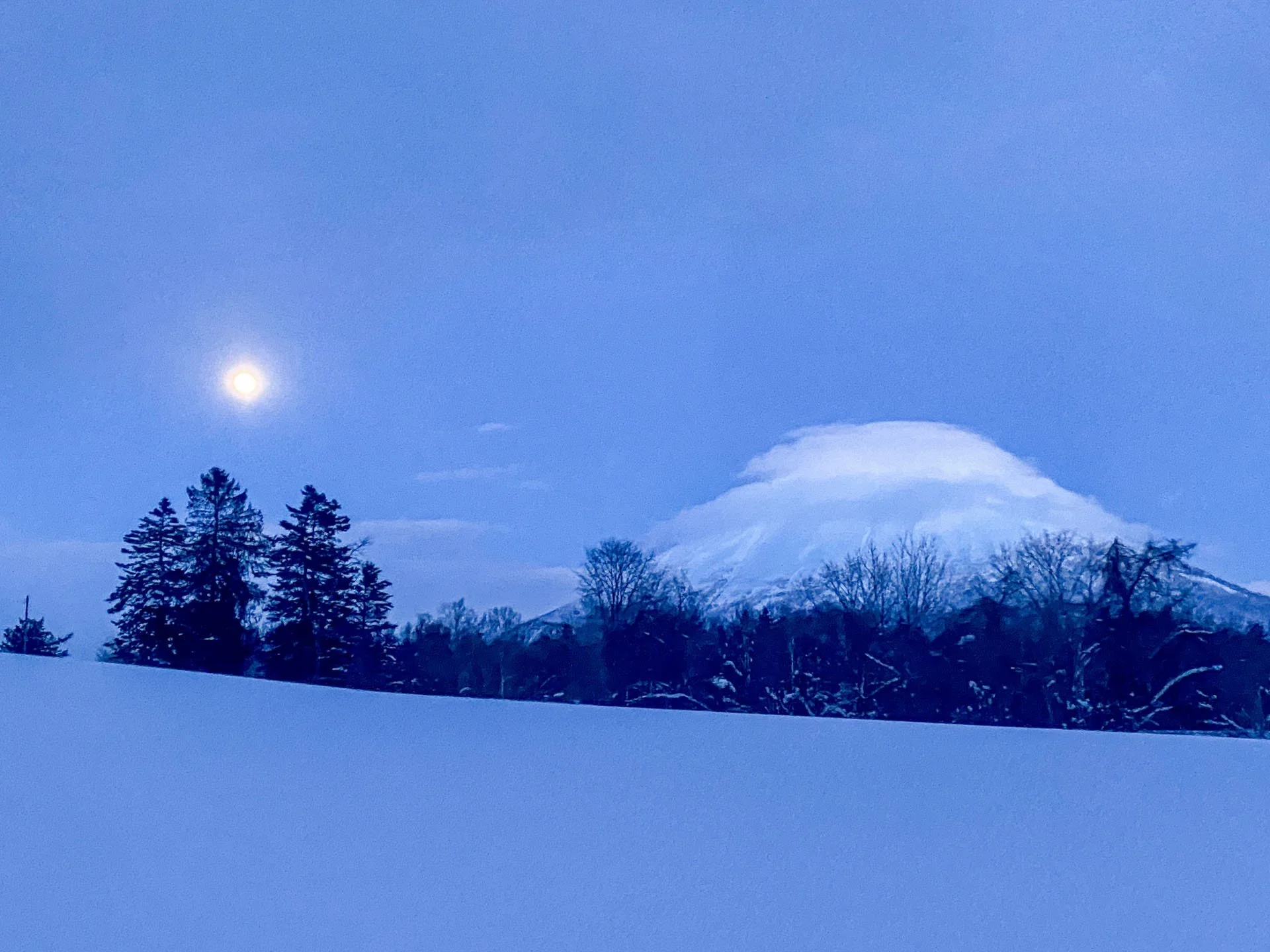  Steven Harris, Matthew Horne 