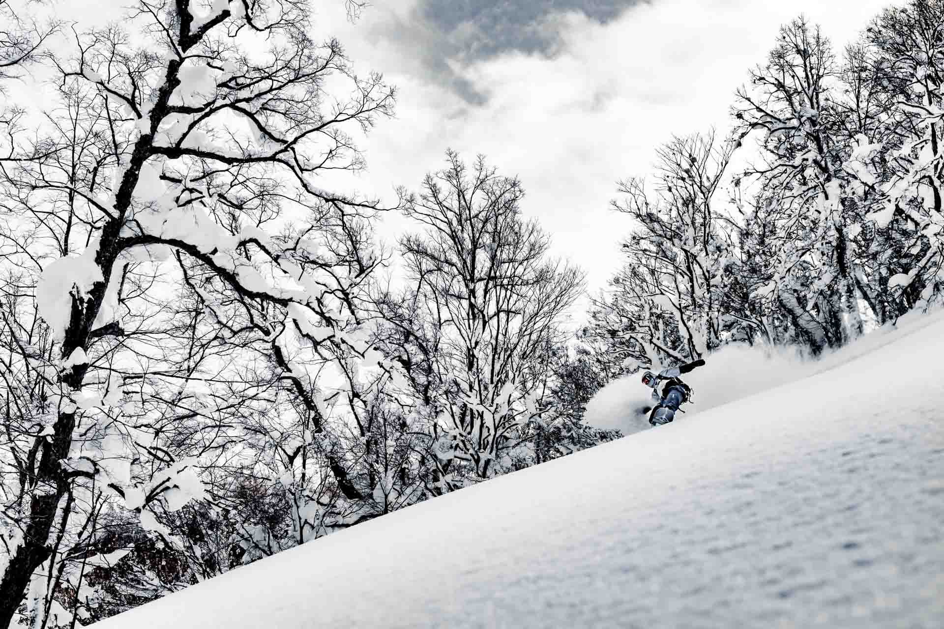 Textures of the Metallic Forest