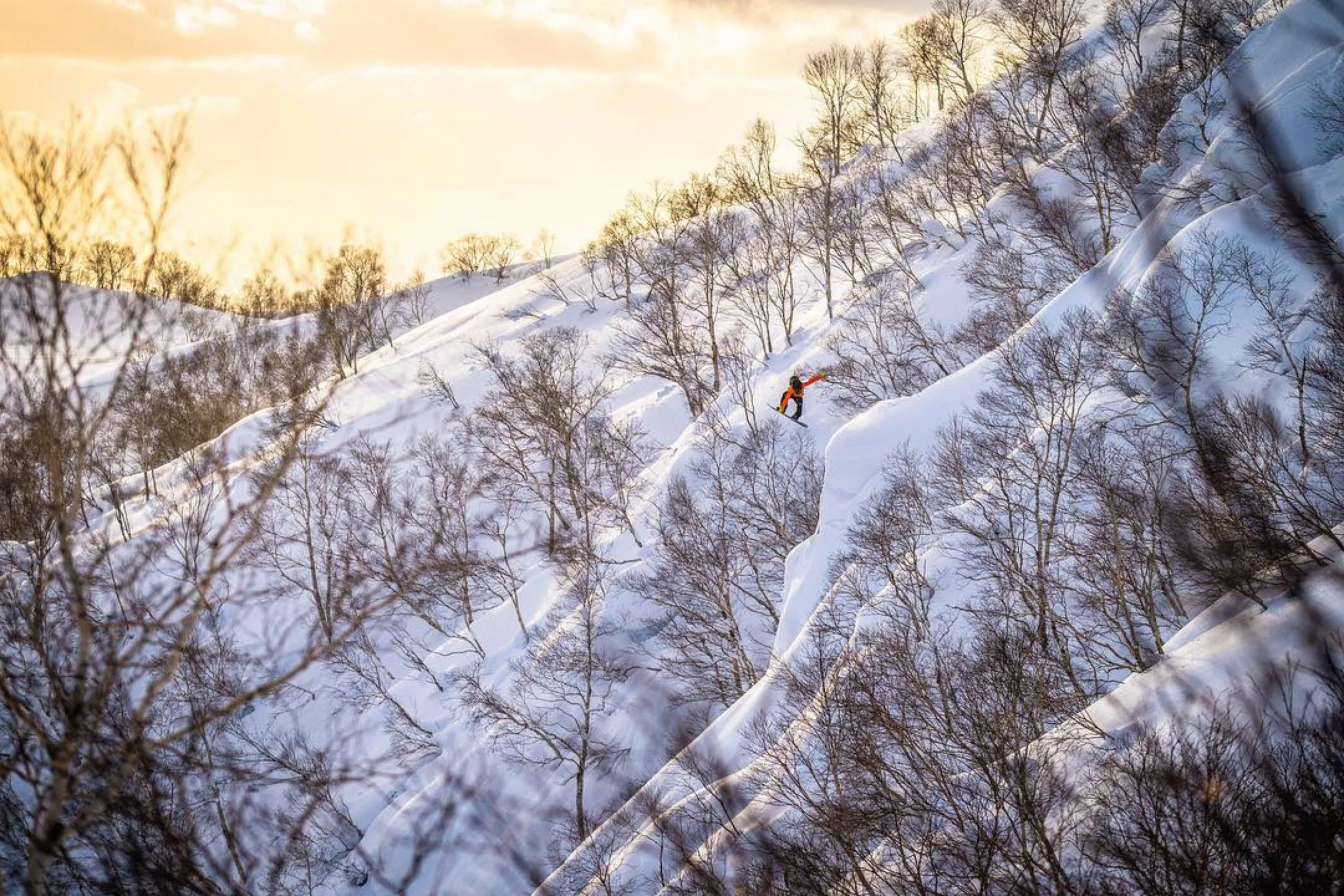  Jana Rogers, Roland Morley-Brown 