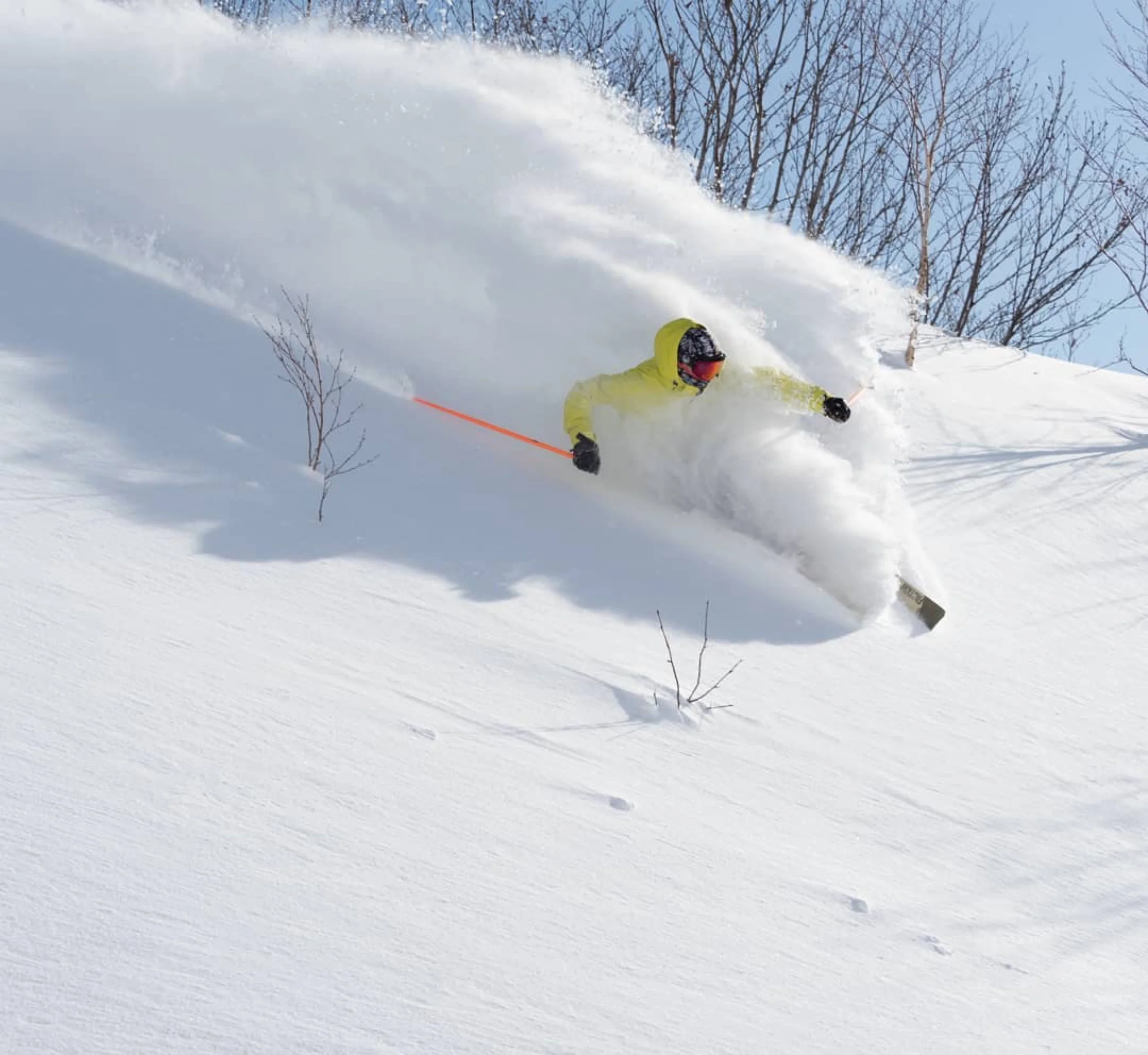  📷 Daniel Honda 🎿 Toshi Pander 