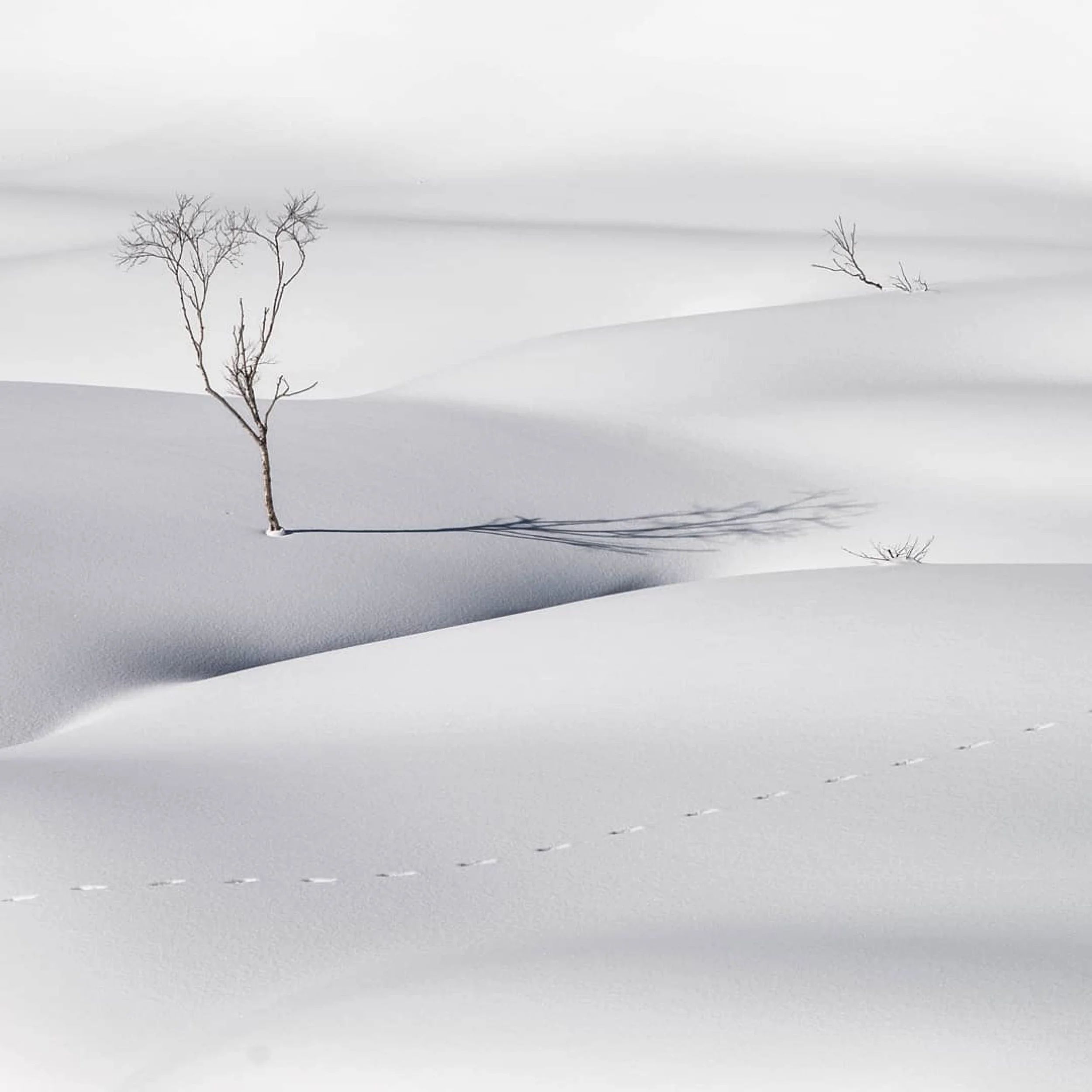  📷 Przemek Czaicki 