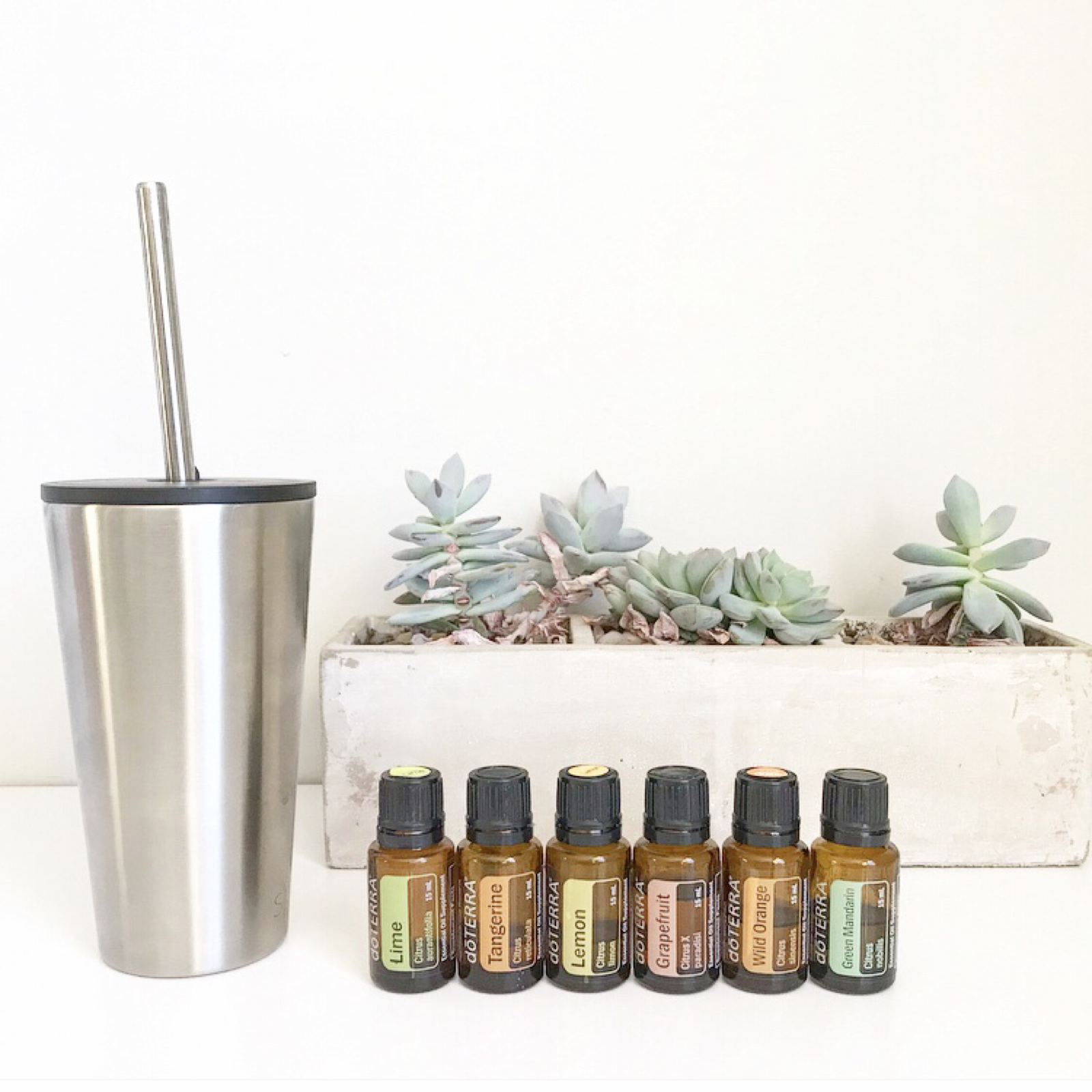 Festive Season Survival Tips