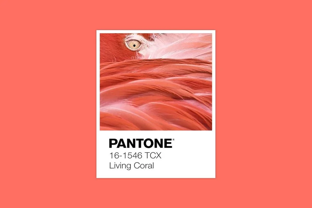 collections-living-coral_1024x1024.jpg
