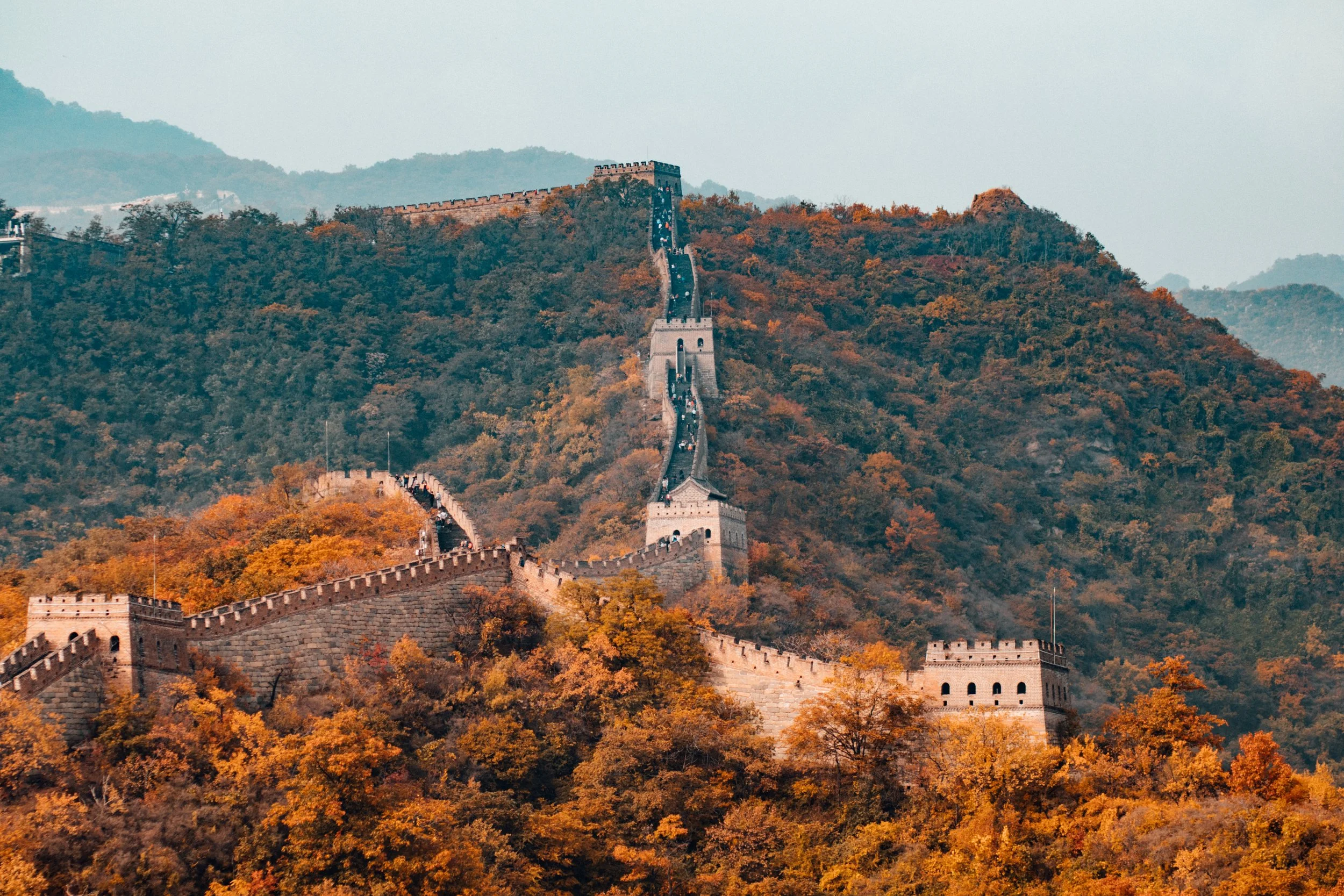 hanson-lu-423362-unsplash.jpg