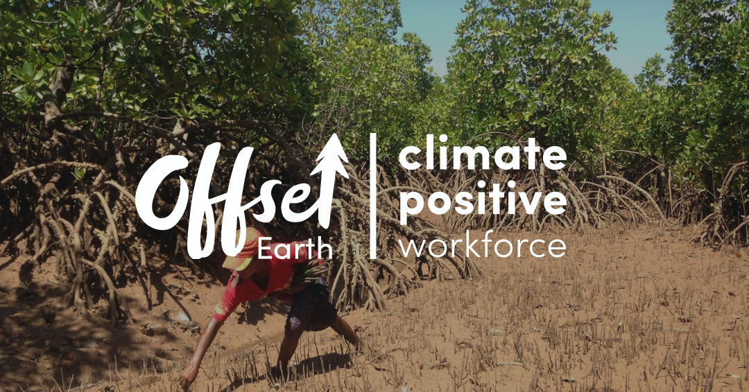 Happy Earth Day: UNBXD Joins Offset Earth