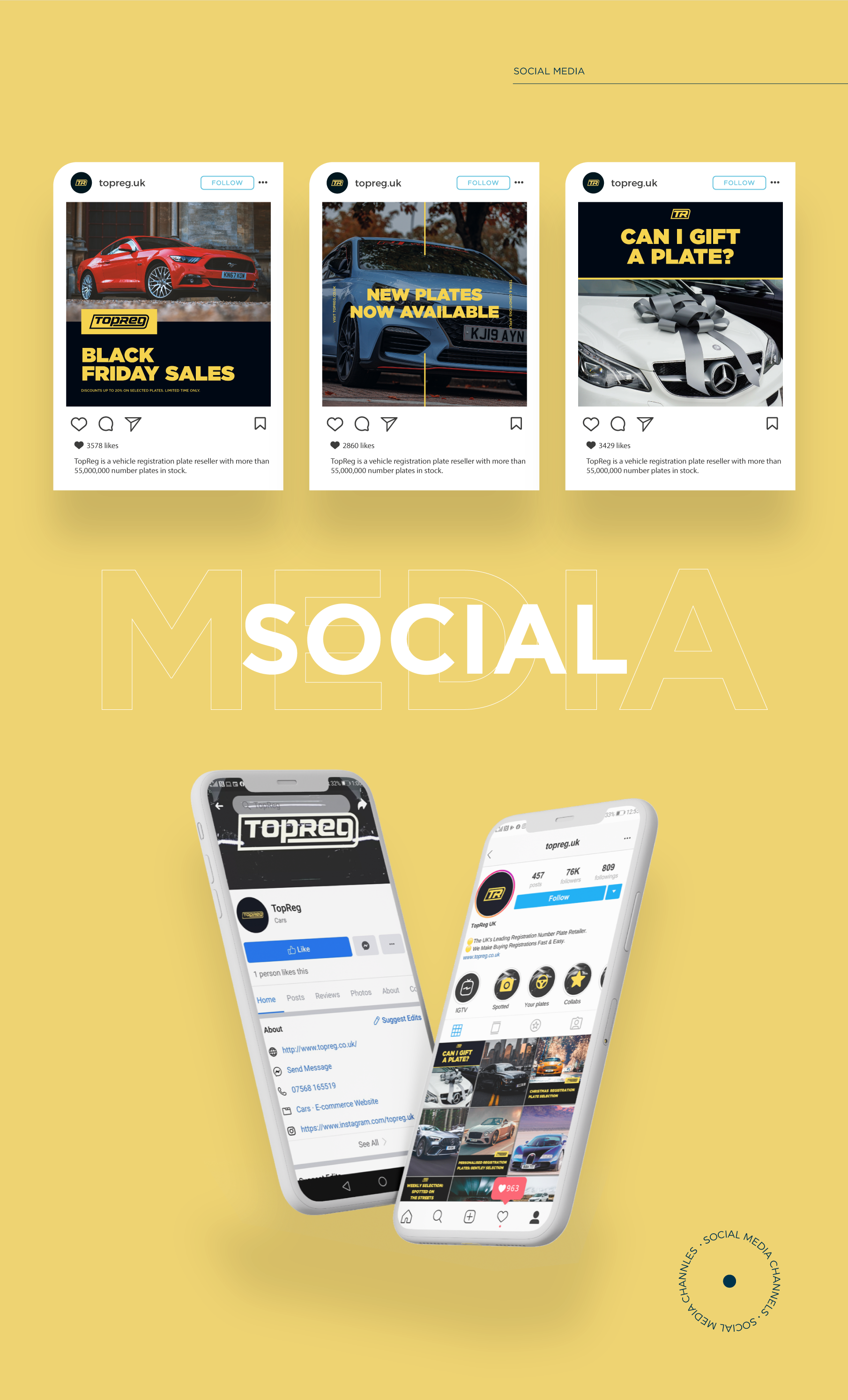 7.TopReg-Behance-PART-6.png