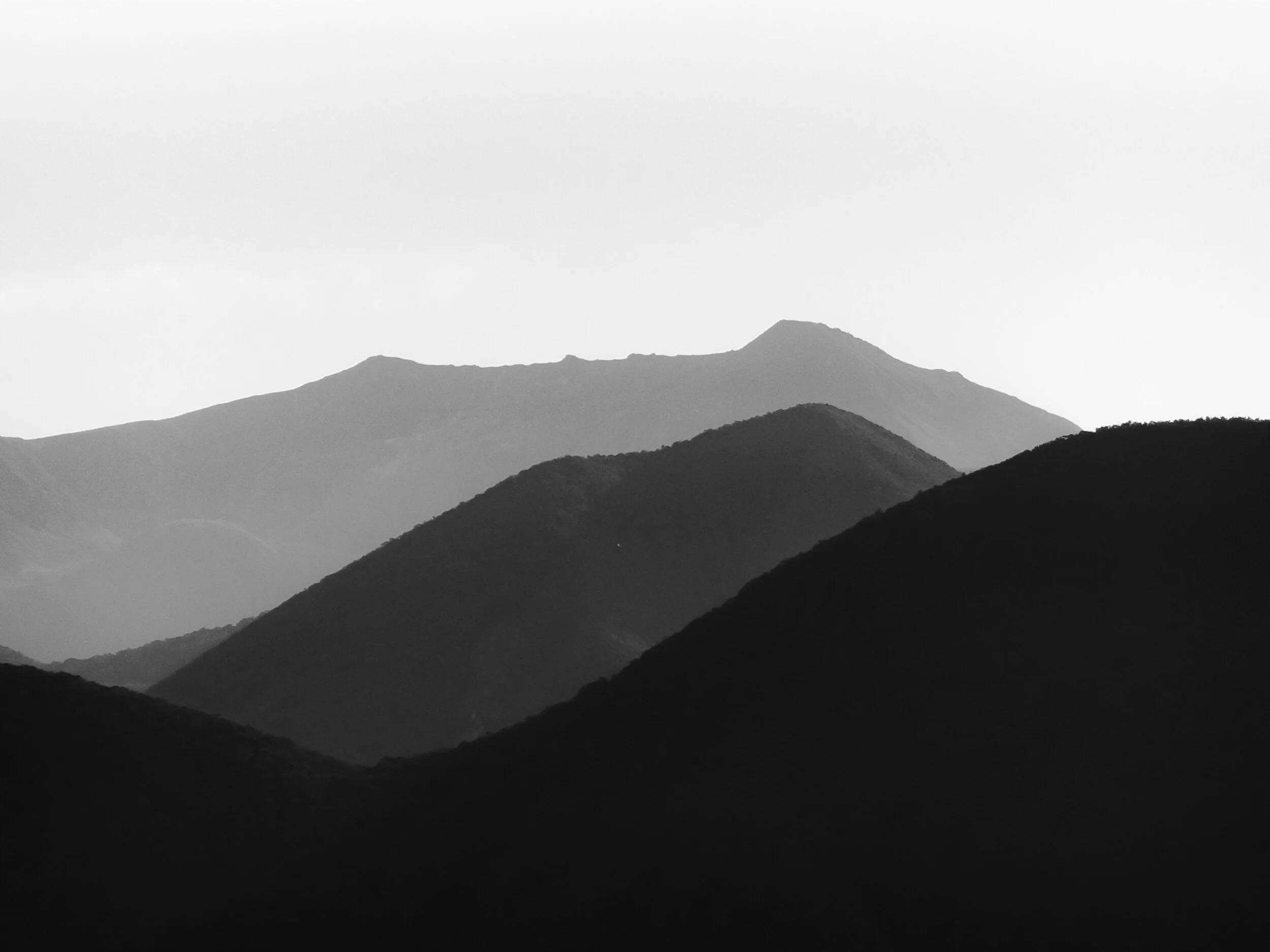 tyler-lastovich-yz3Lt5Kwdi8-unsplash.jpg