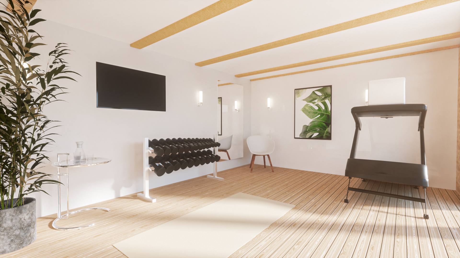 Interior 4 x 7 Gym.png