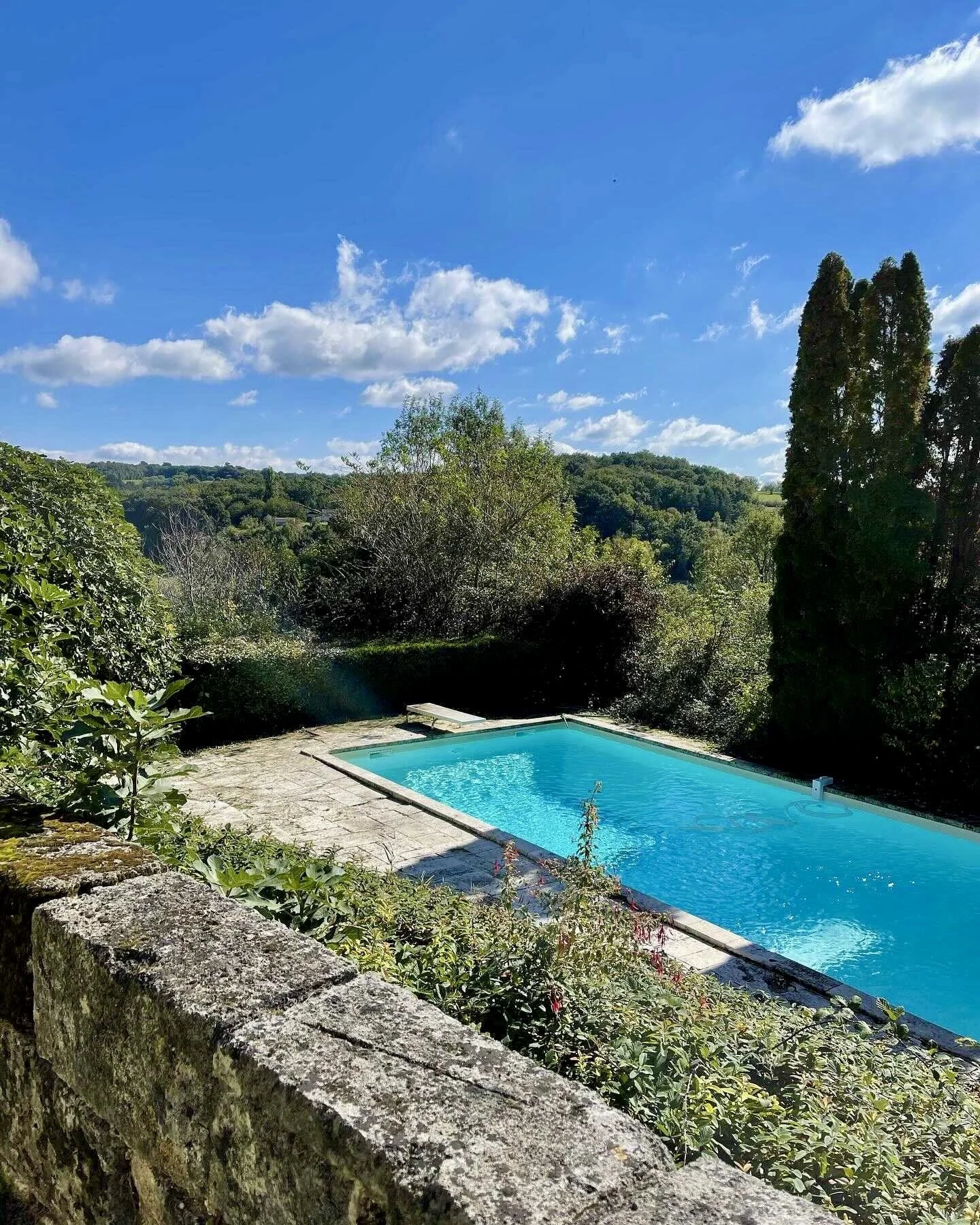 image_from_ios 2.jpg