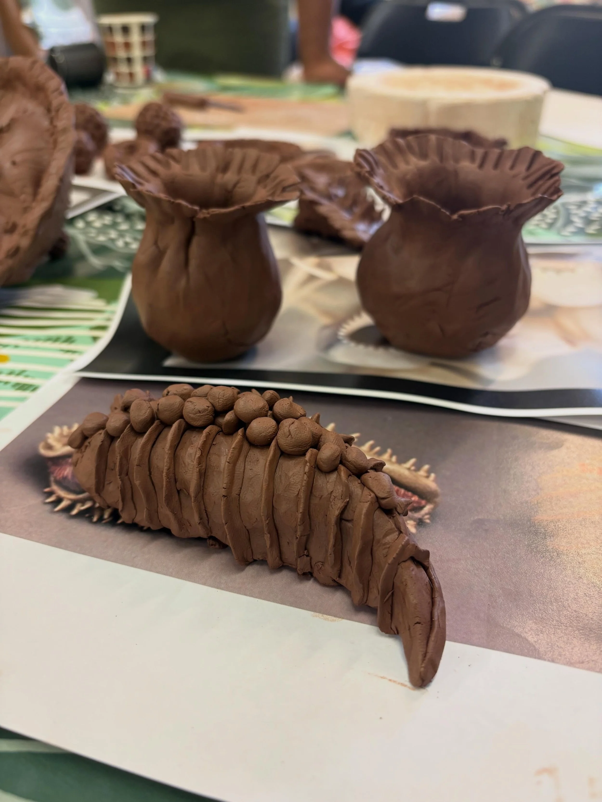 Just some of the amazing seed pods created by participants from @nd_refugeecentre with @vamuseum for @refugeeweekuk 😍 and none of them had used clay before- I&rsquo;m so impressed! 
#refugeestories