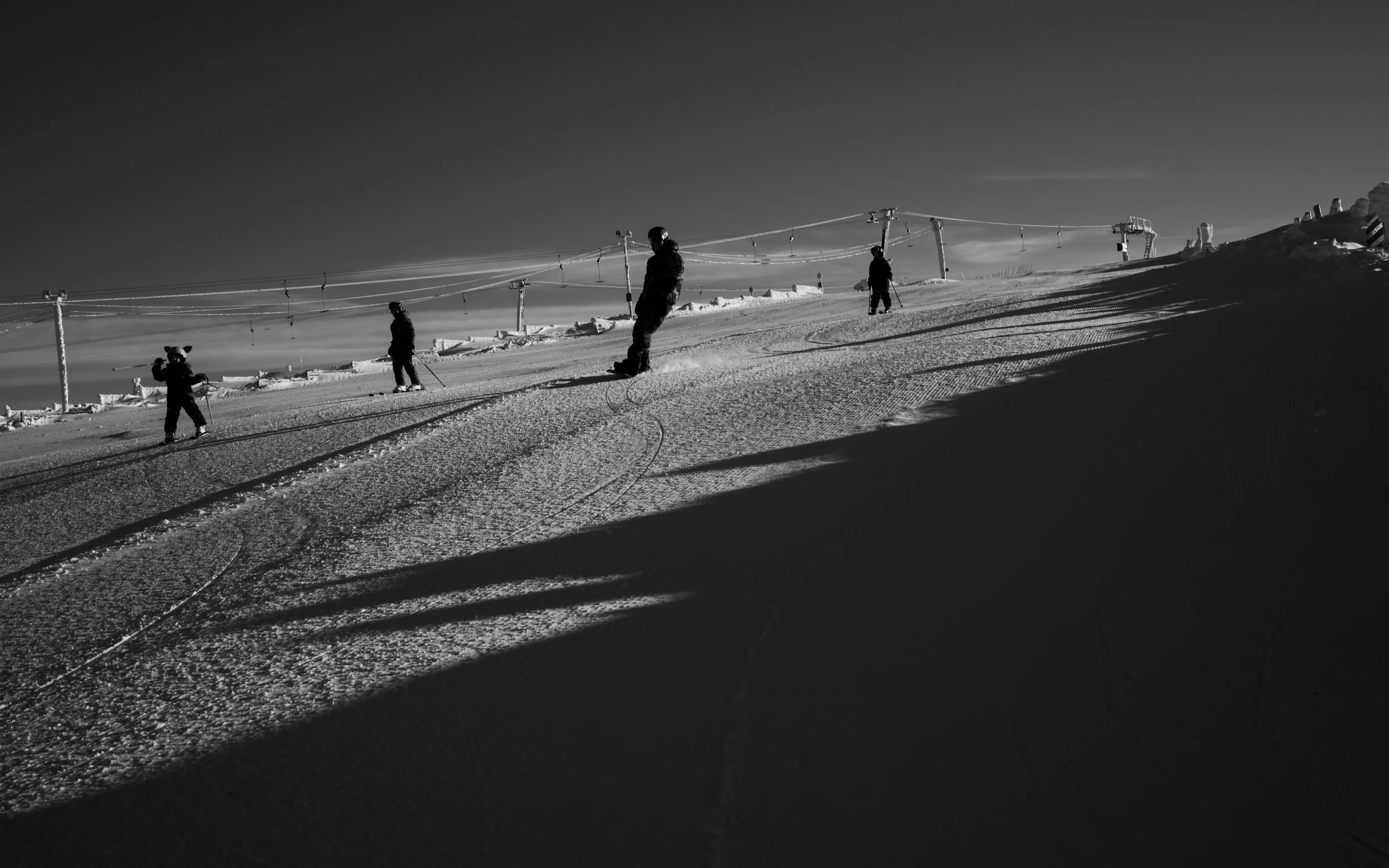 SAARISELKÄ - 2020