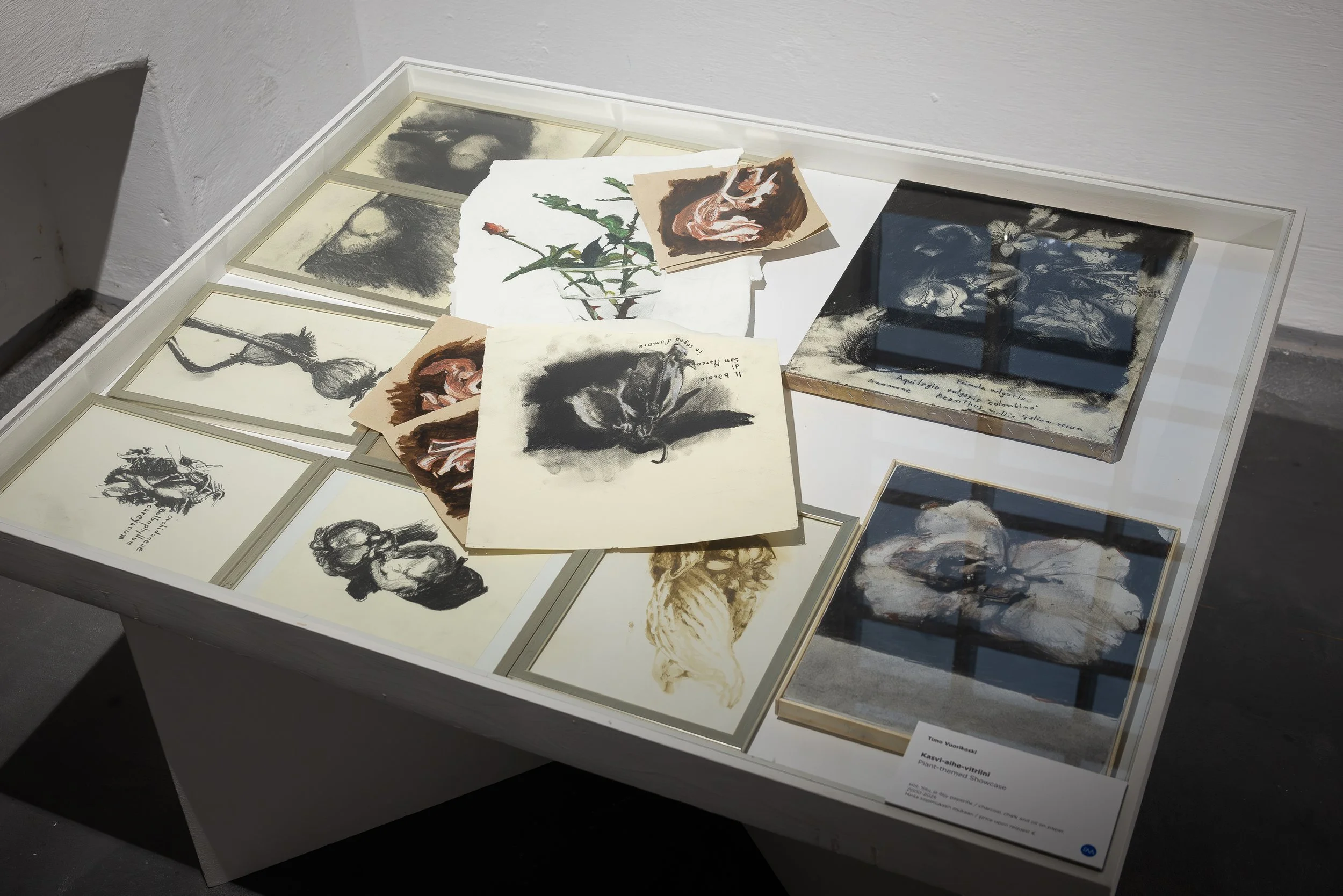 2026-06-12 Timo Vuorikoski 80v Finlayson www-14.jpg