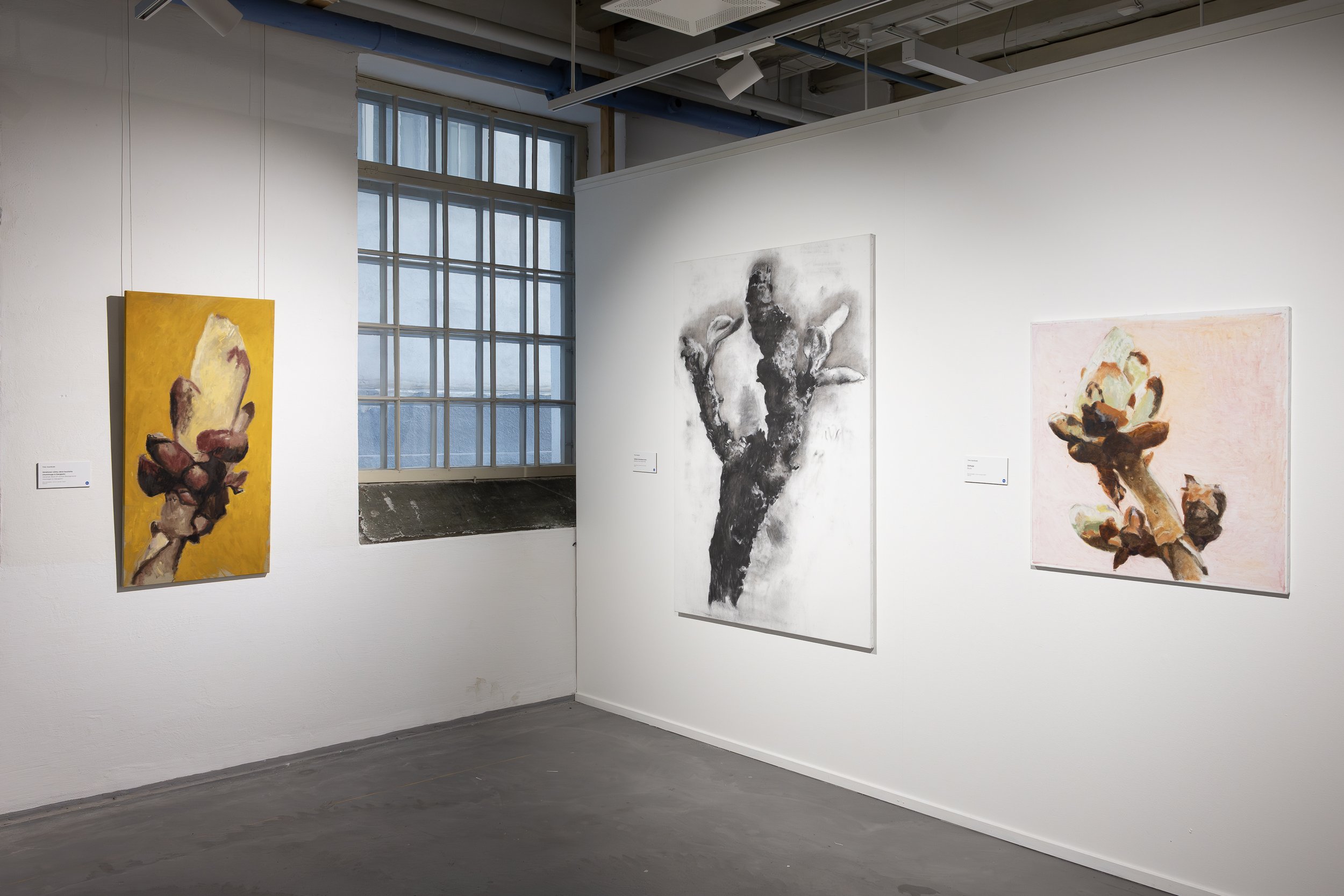 2026-06-12 Timo Vuorikoski 80v Finlayson www-16.jpg