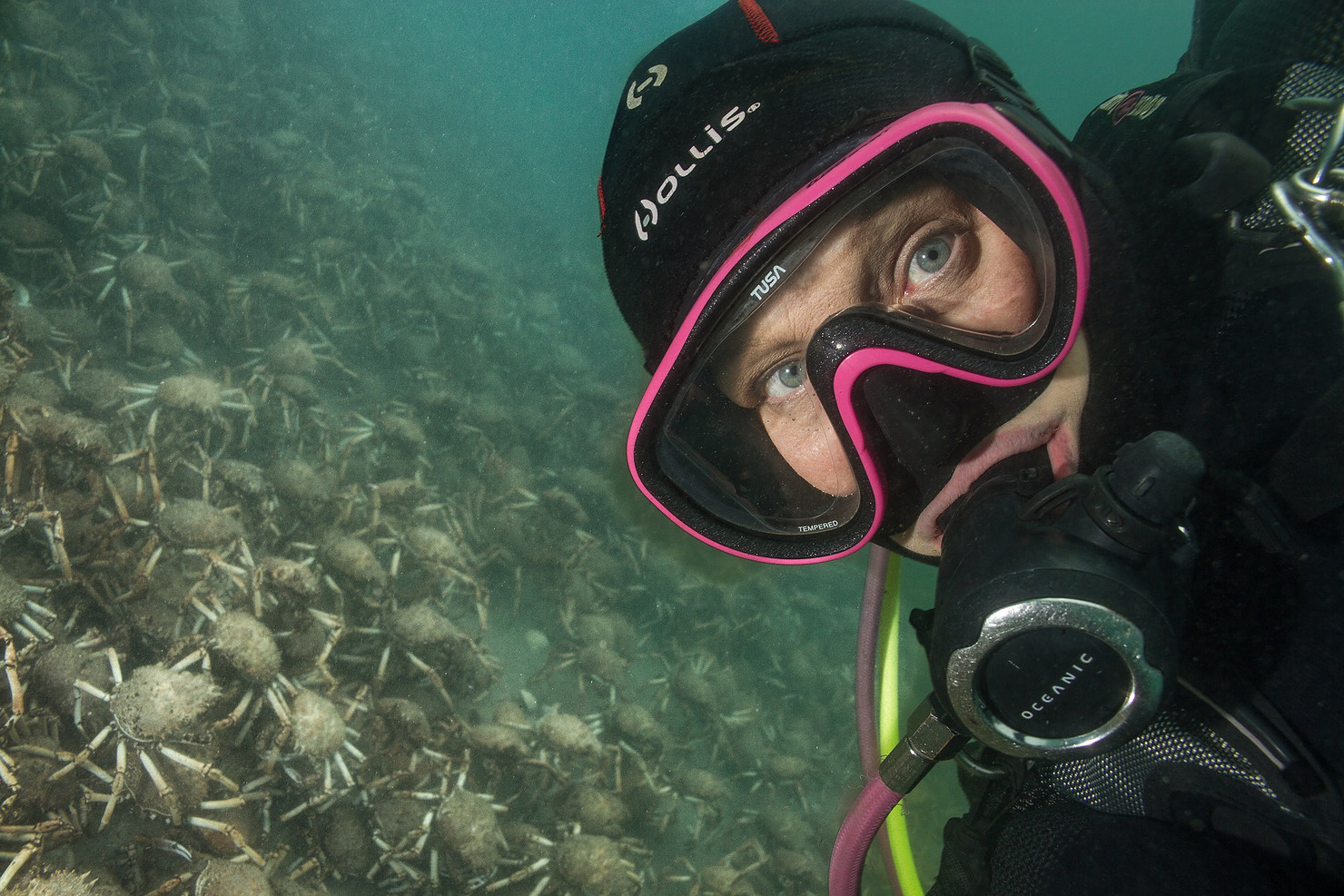 Behind The Lens: Pink Tank Scuba
