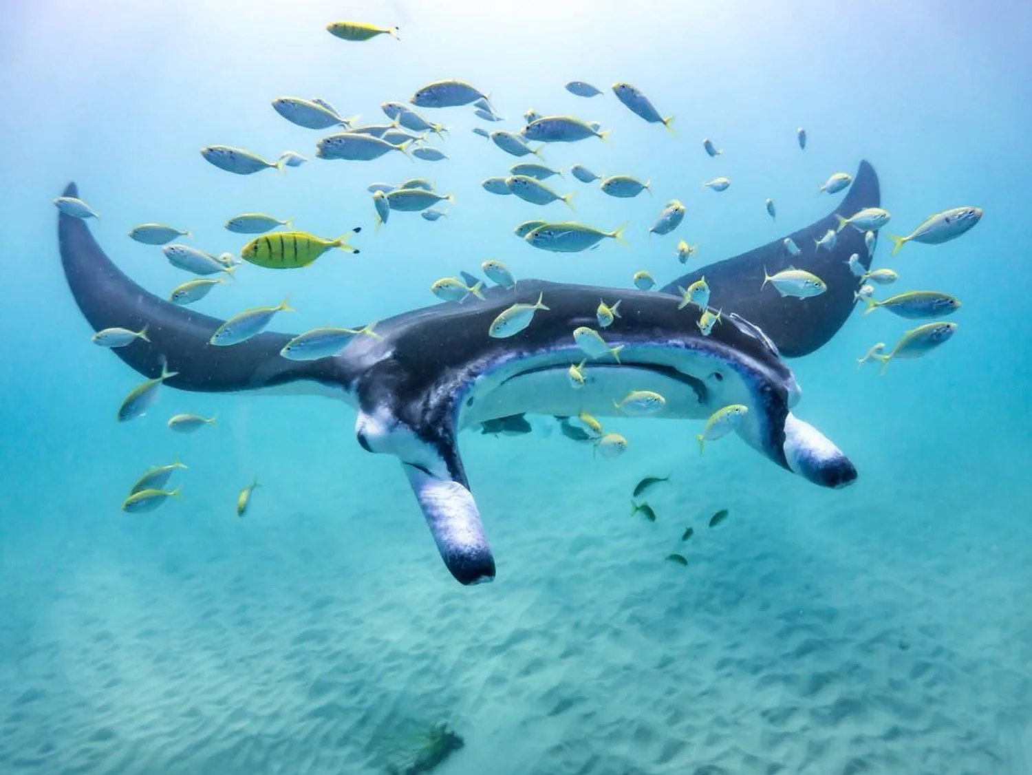 Behind The Lens: Daniel Browne