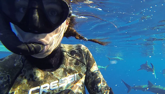 Into The Industry: Shark Conservation