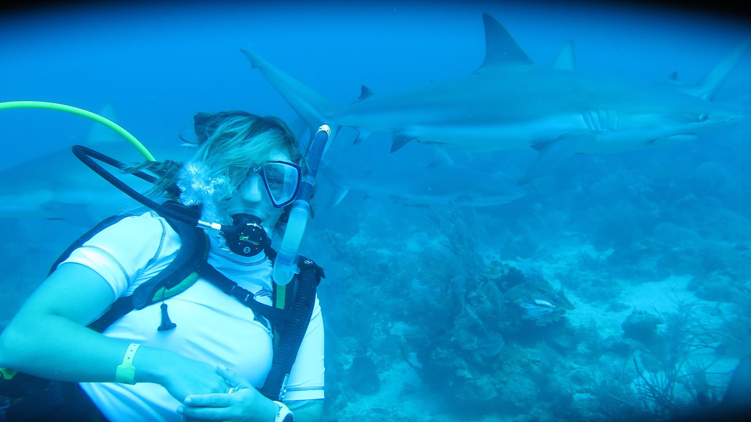 Into The Industry: EarthEco