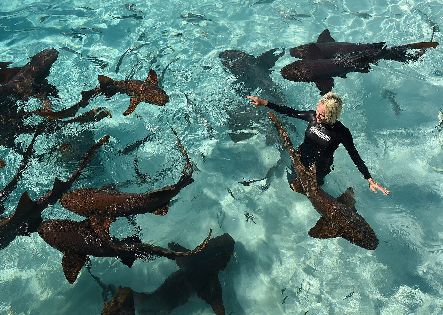 Mindless Killers... and No, I’m Not Talking About the Sharks