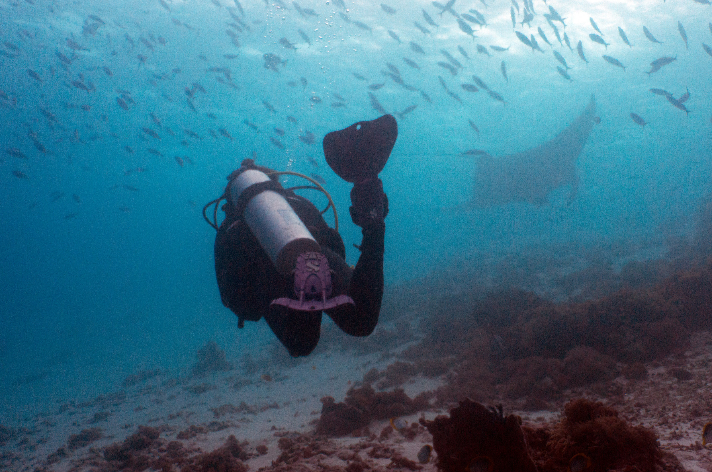 Mads Ocean scuba diving with manta rays in Indonesia