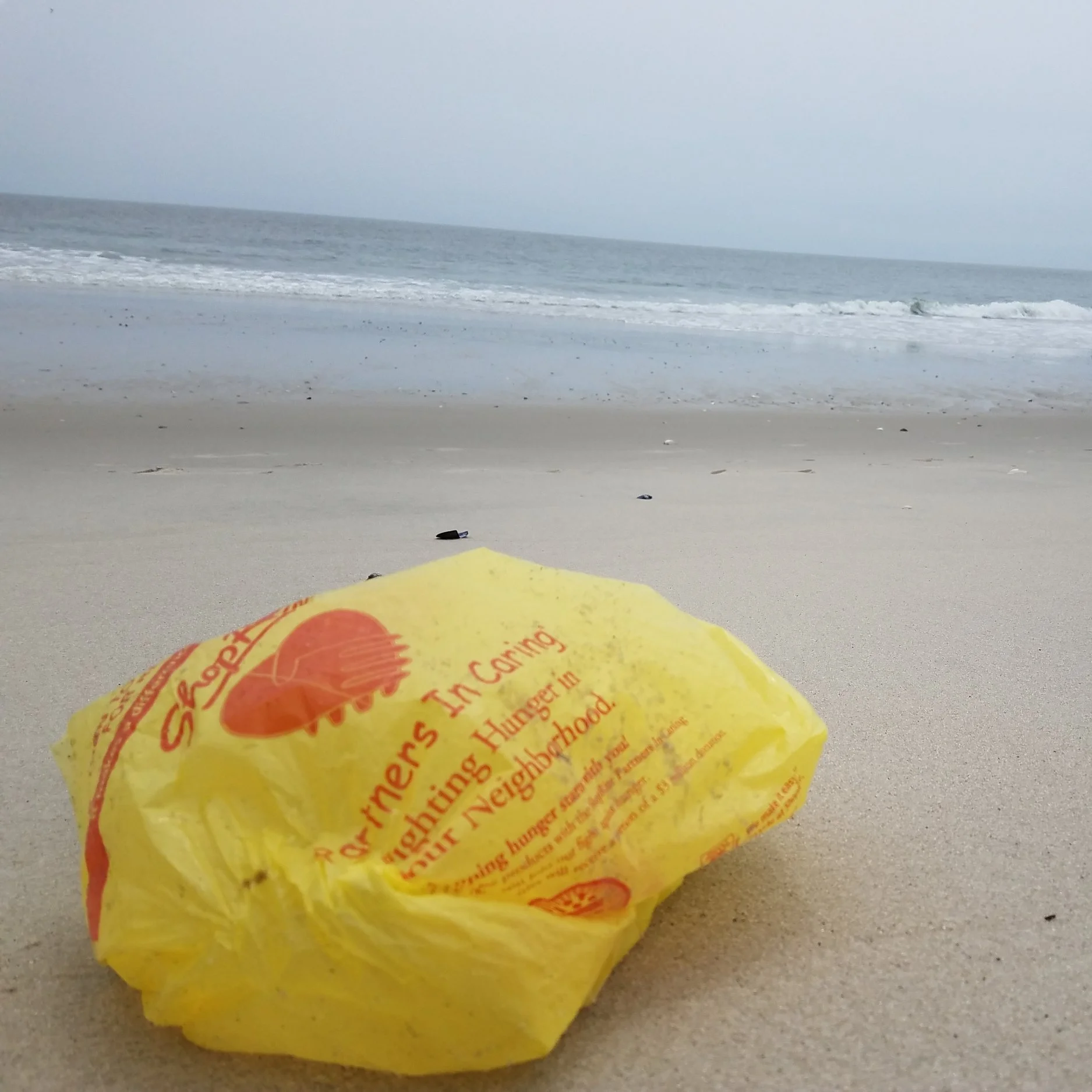 Combating Marine Pollution: The Save Our Seas Act