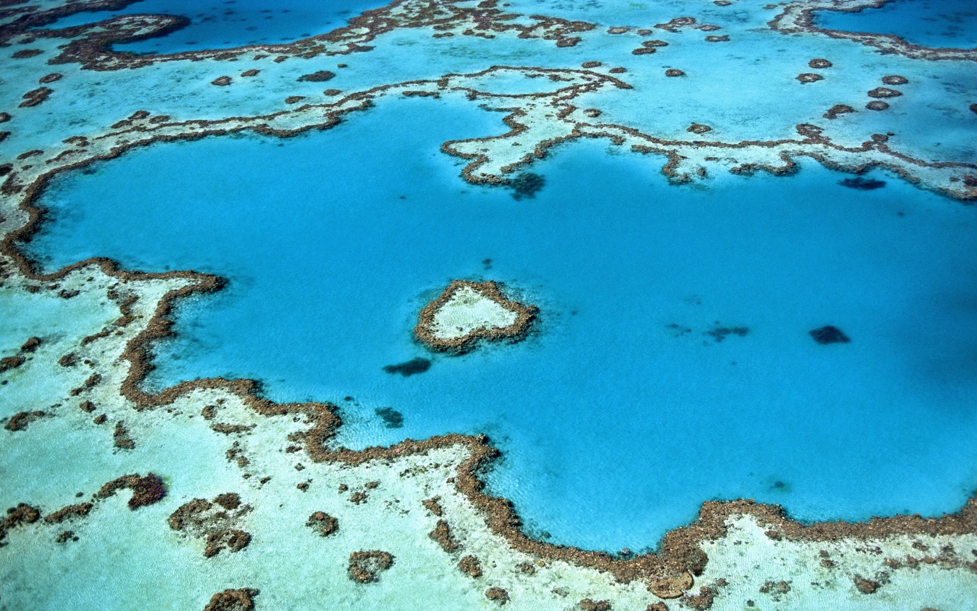 reef-984352.jpg