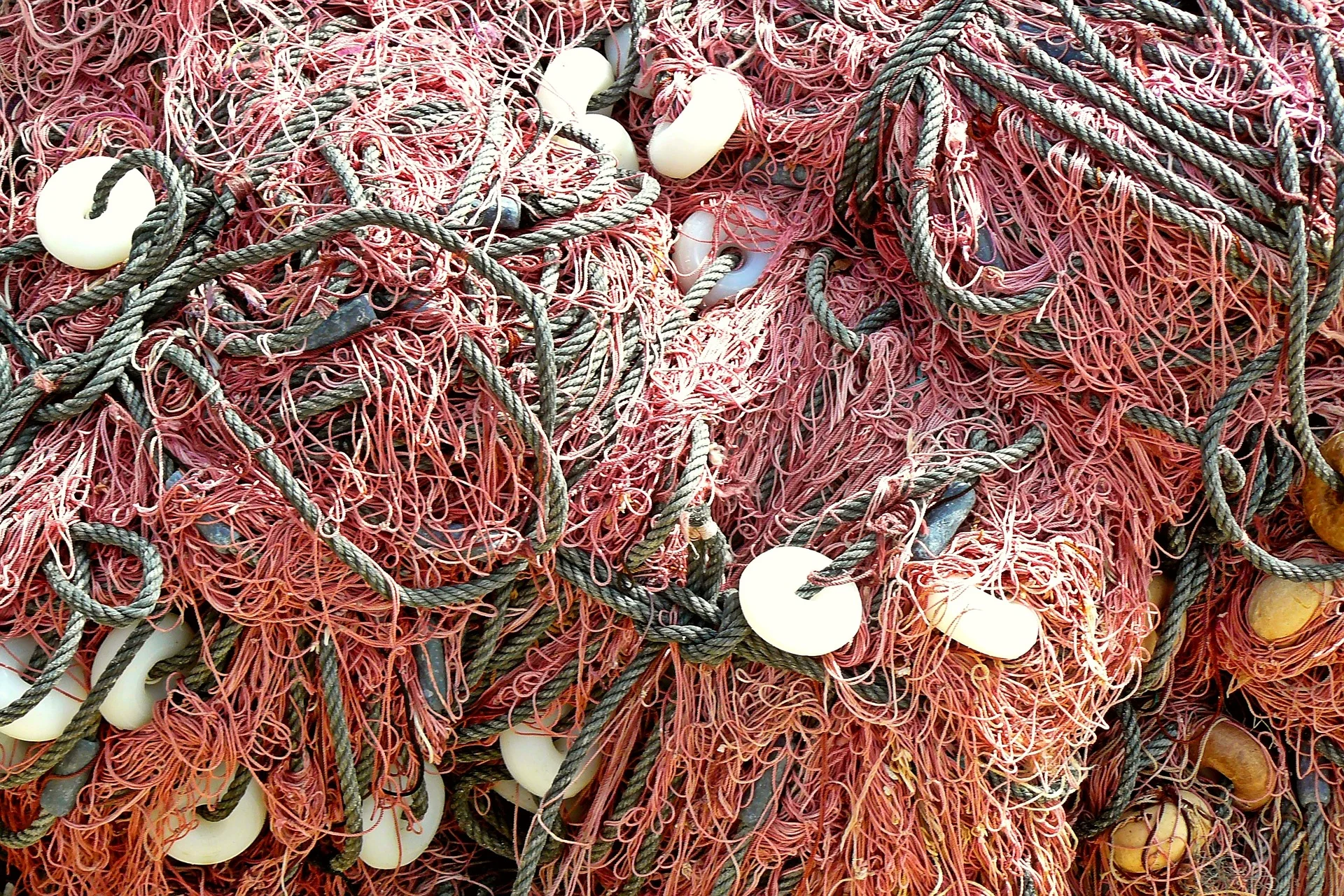 fishing-net-998034_1920.jpg