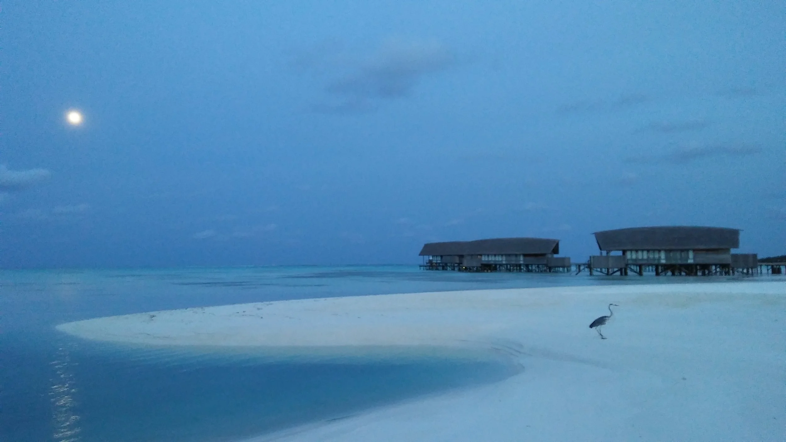 A stunning full moon over the resort beach. Photo: Emily Moxham @sustainablemoxi