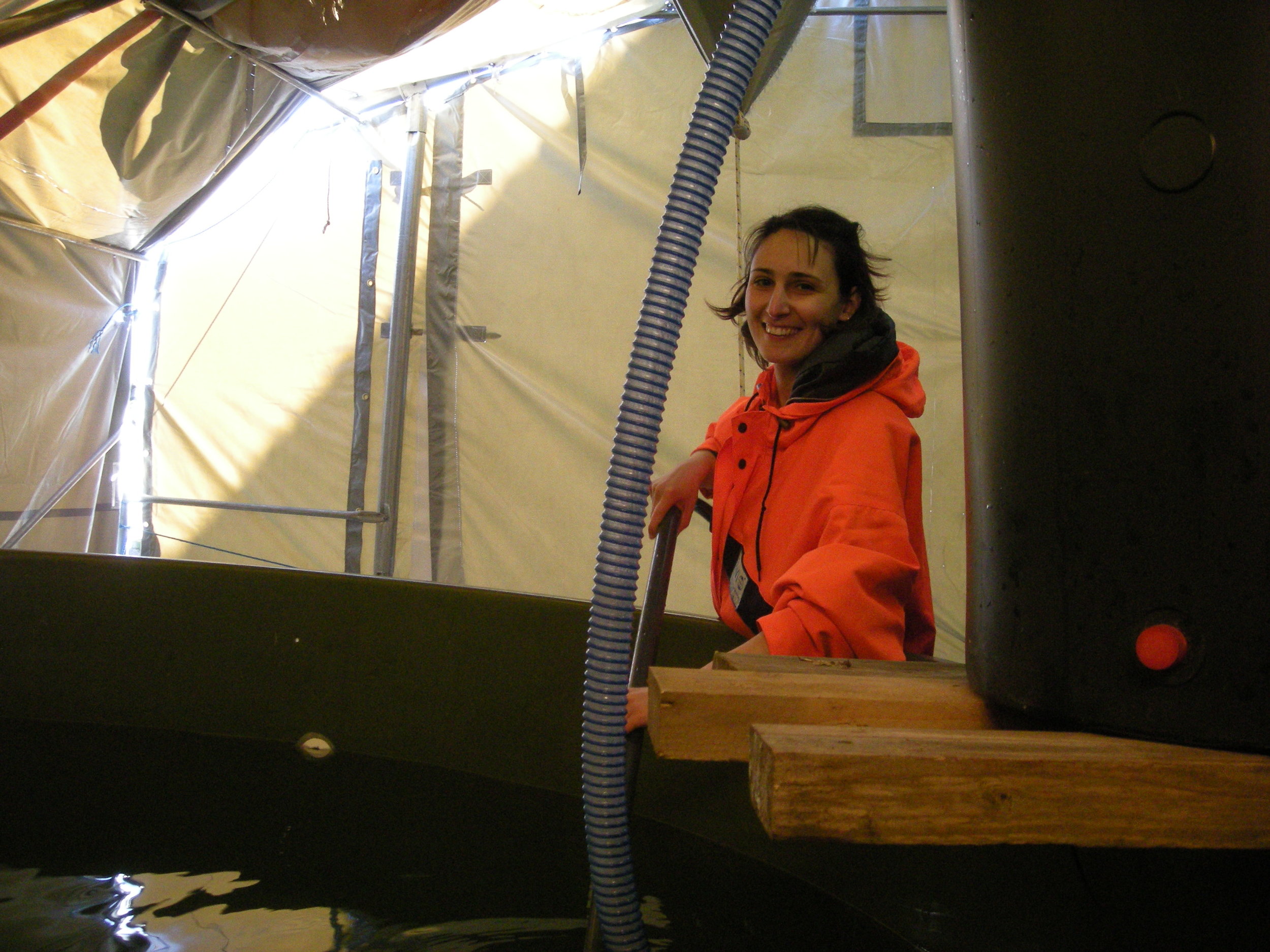 GONE FISHING – Elettra nets Atlantic cod from tanks where they have been acclimated to future world water conditions. Photo: Elettra Leo