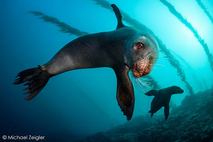 Behind The Lens: Michael Zeigler