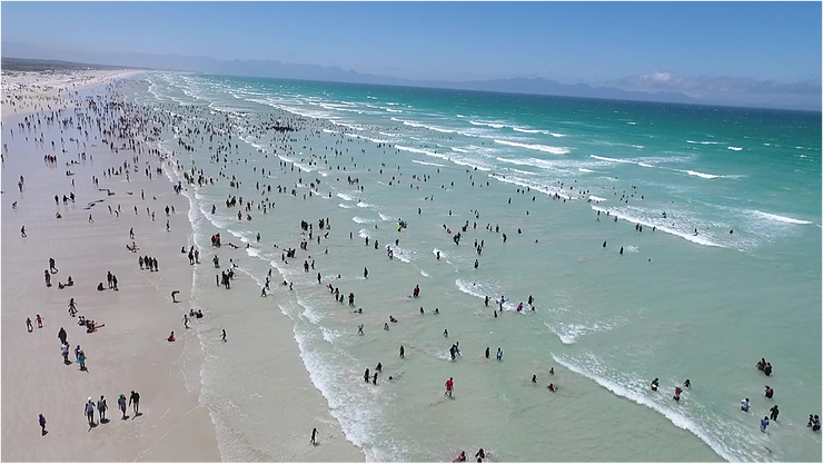 Muizenberg beach, Cape Town on New Year’s Day. Photo: @sharkspotters #BeSharkSmart