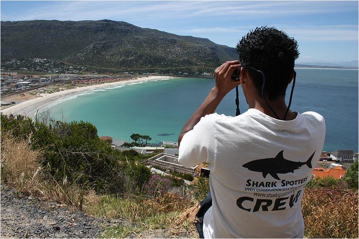 The view over Fish Hoek beach. Photo: @sharkspotters #BeSharkSmart
