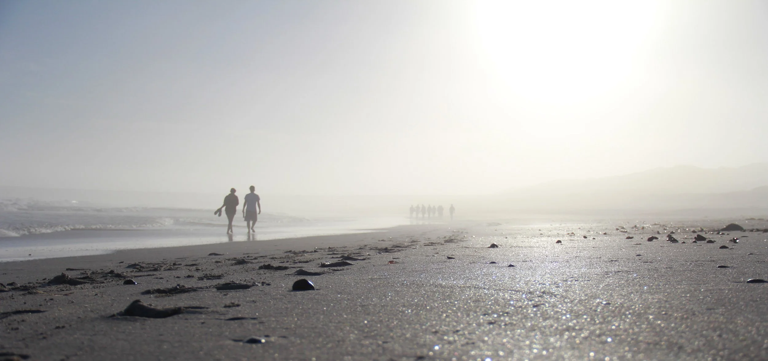 Lessons from Early Retirees