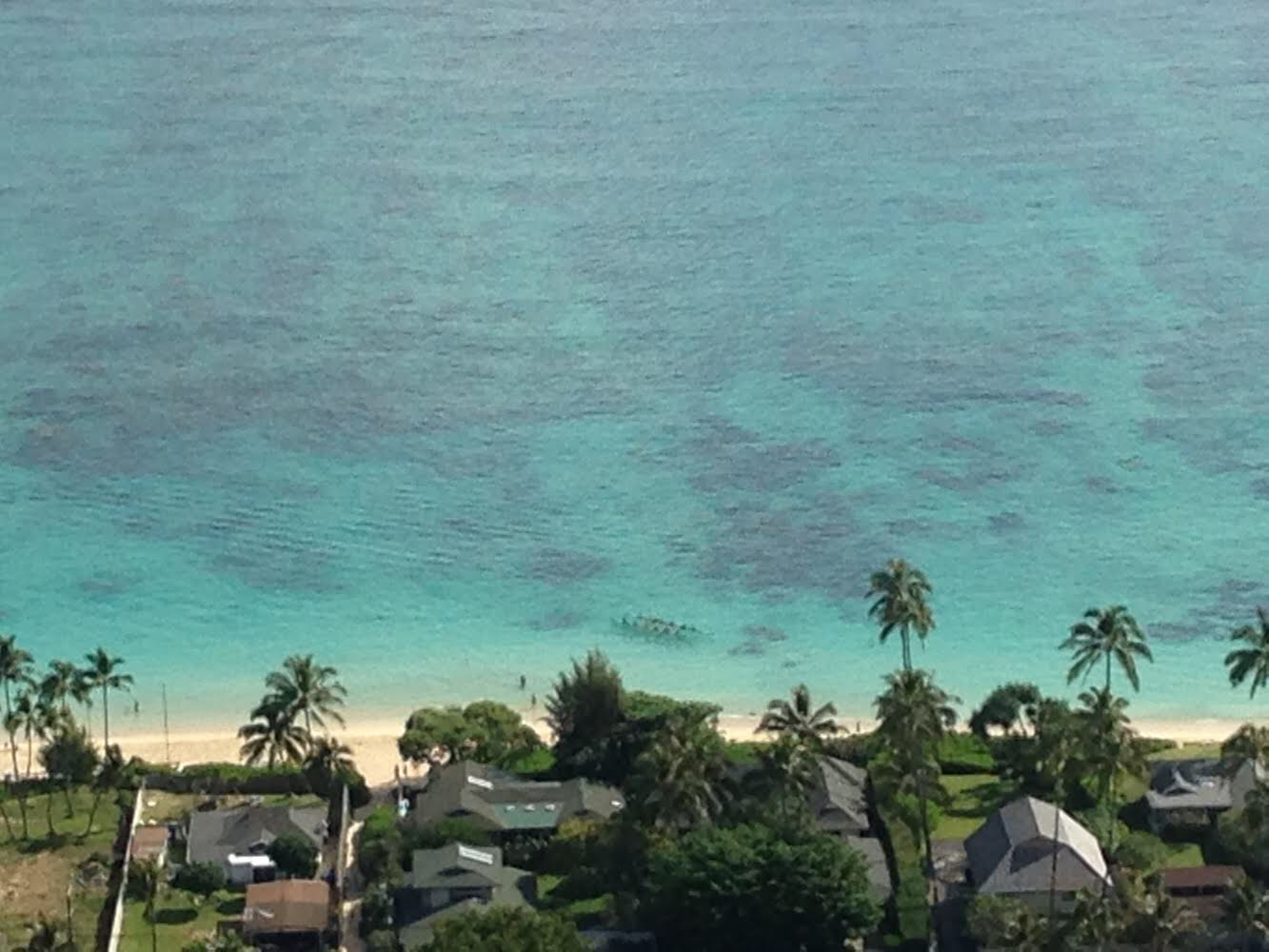 Land-Locked Blues: My Long Distance Relationship with the Ocean