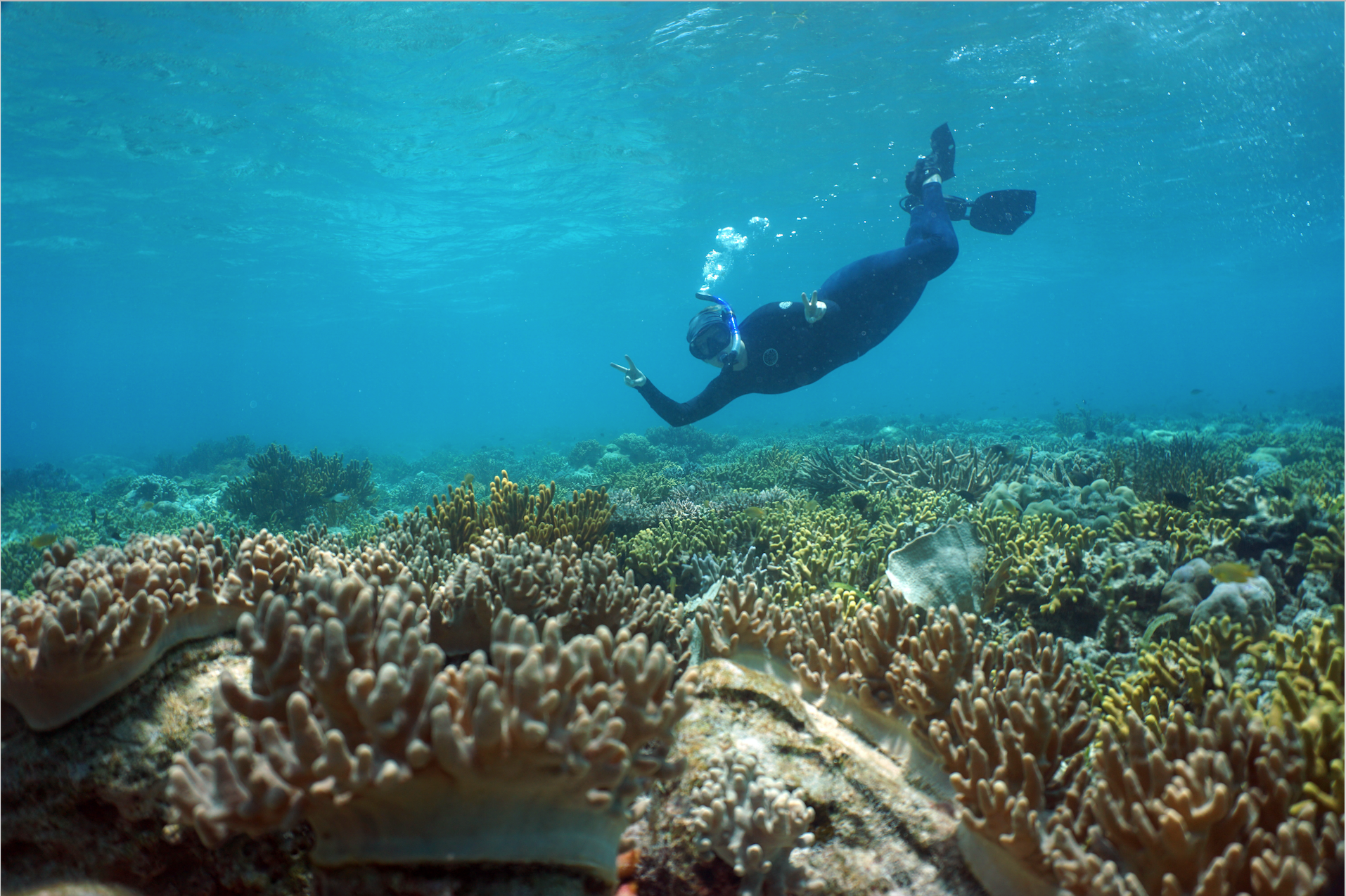 Mads Ocean snorkelling near coral reef in Pulau Hoga Indonesia Wakatobi National Park