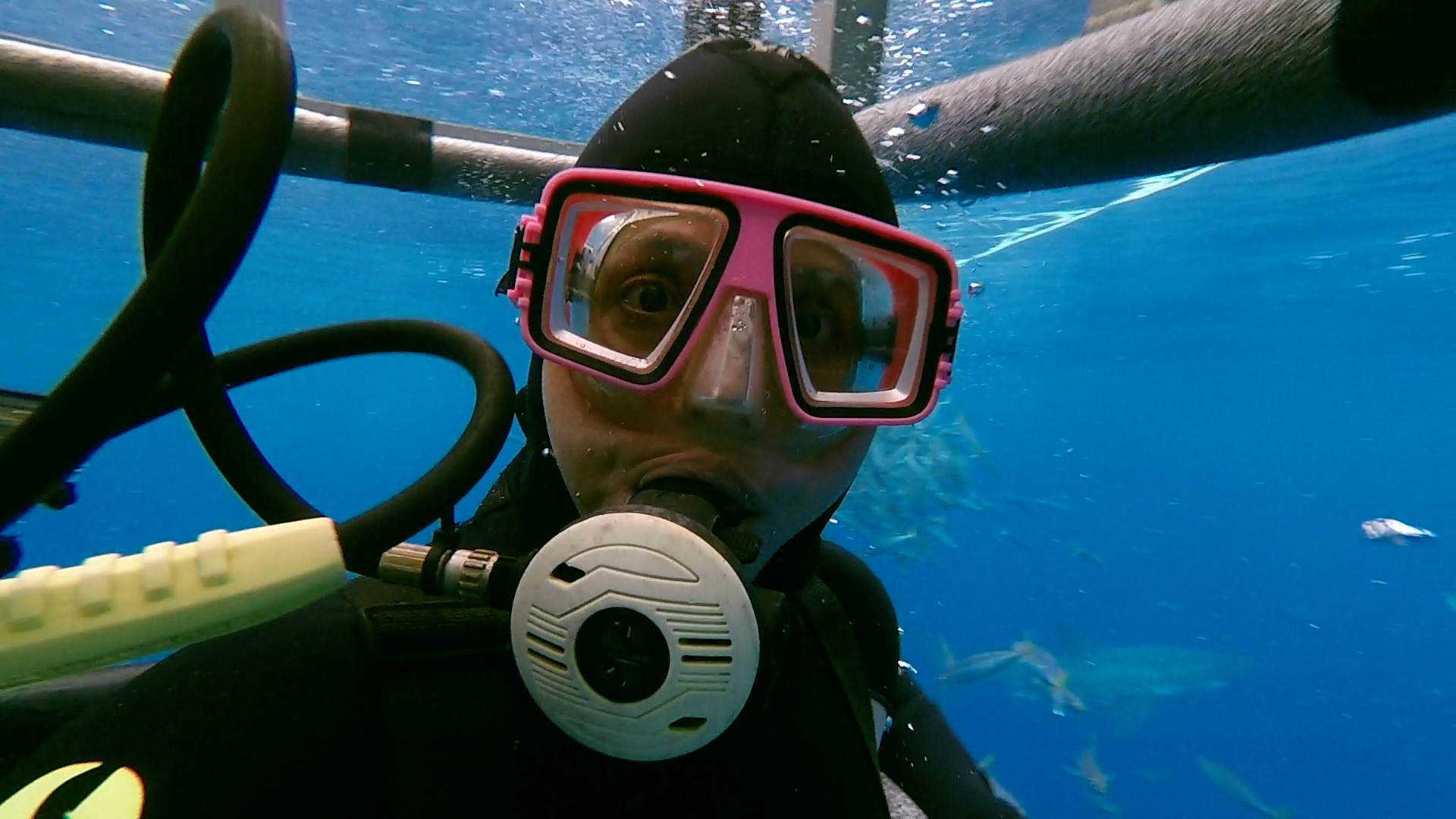A shark cage selfie! Meet Apryl! Photo: @elportoshark