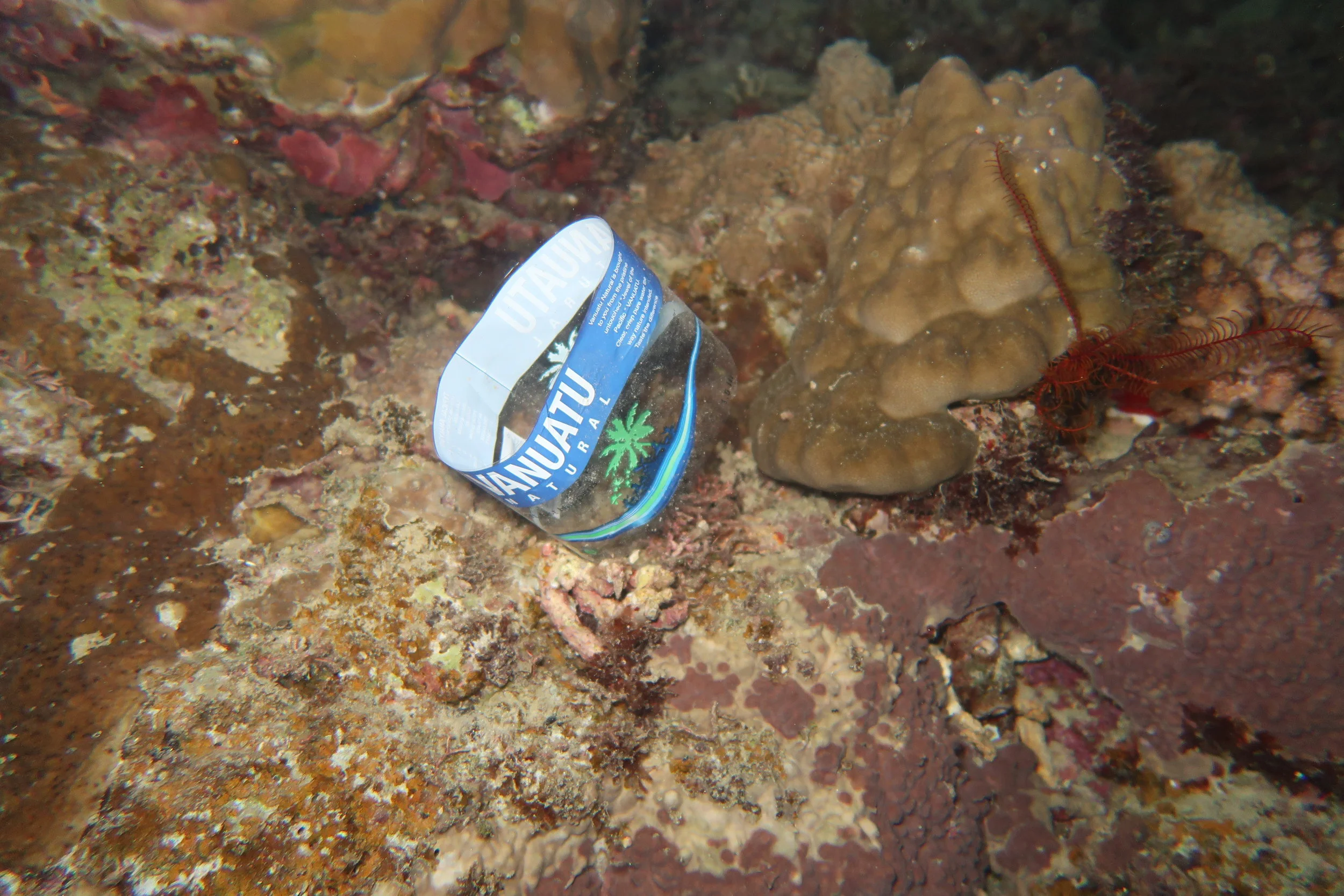 Plastic finds it way into all marine environments. Photo: Andy Osborne @osbornandy