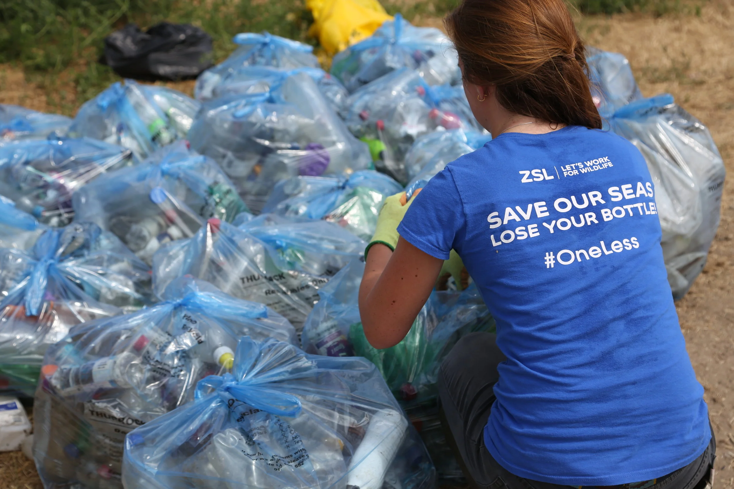  Just OneLess: Tackling Plastic Bottle Use in London