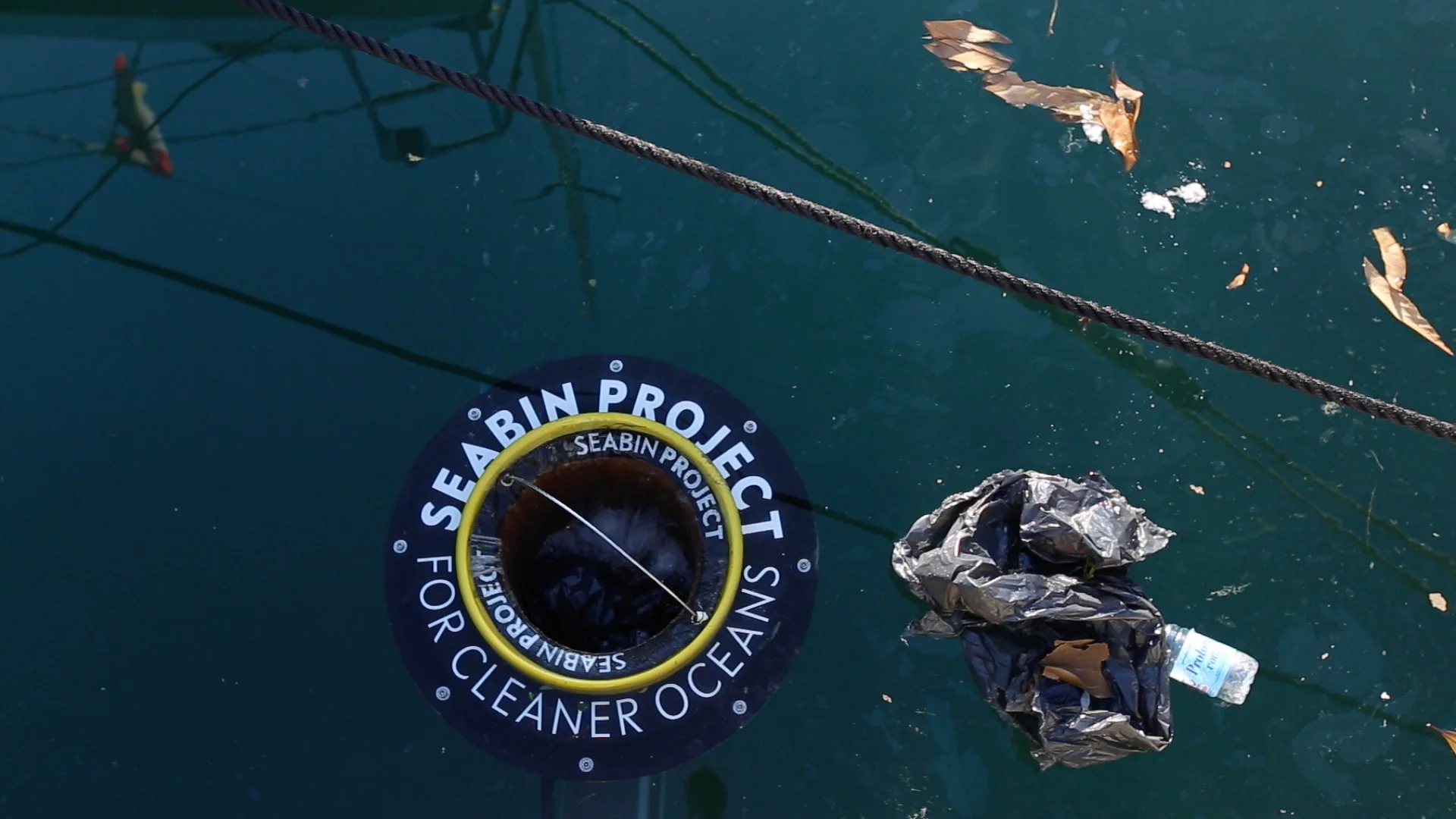 Can Technology Help Us Clean Up the Oceans?